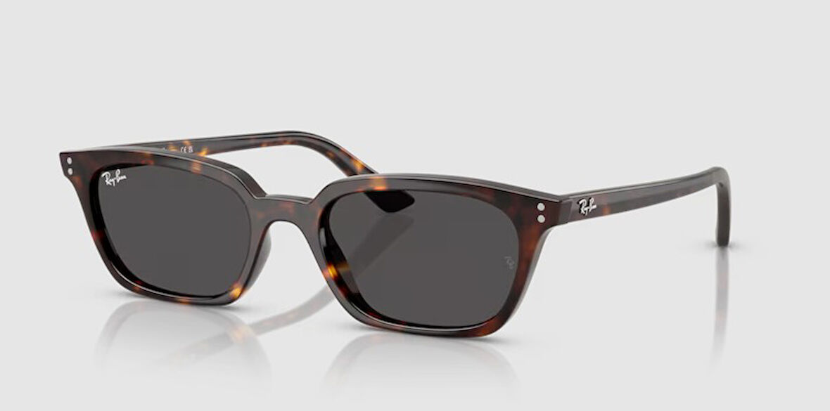RAY-BAN UNİSEX GÖZLÜK RB4456-135987
