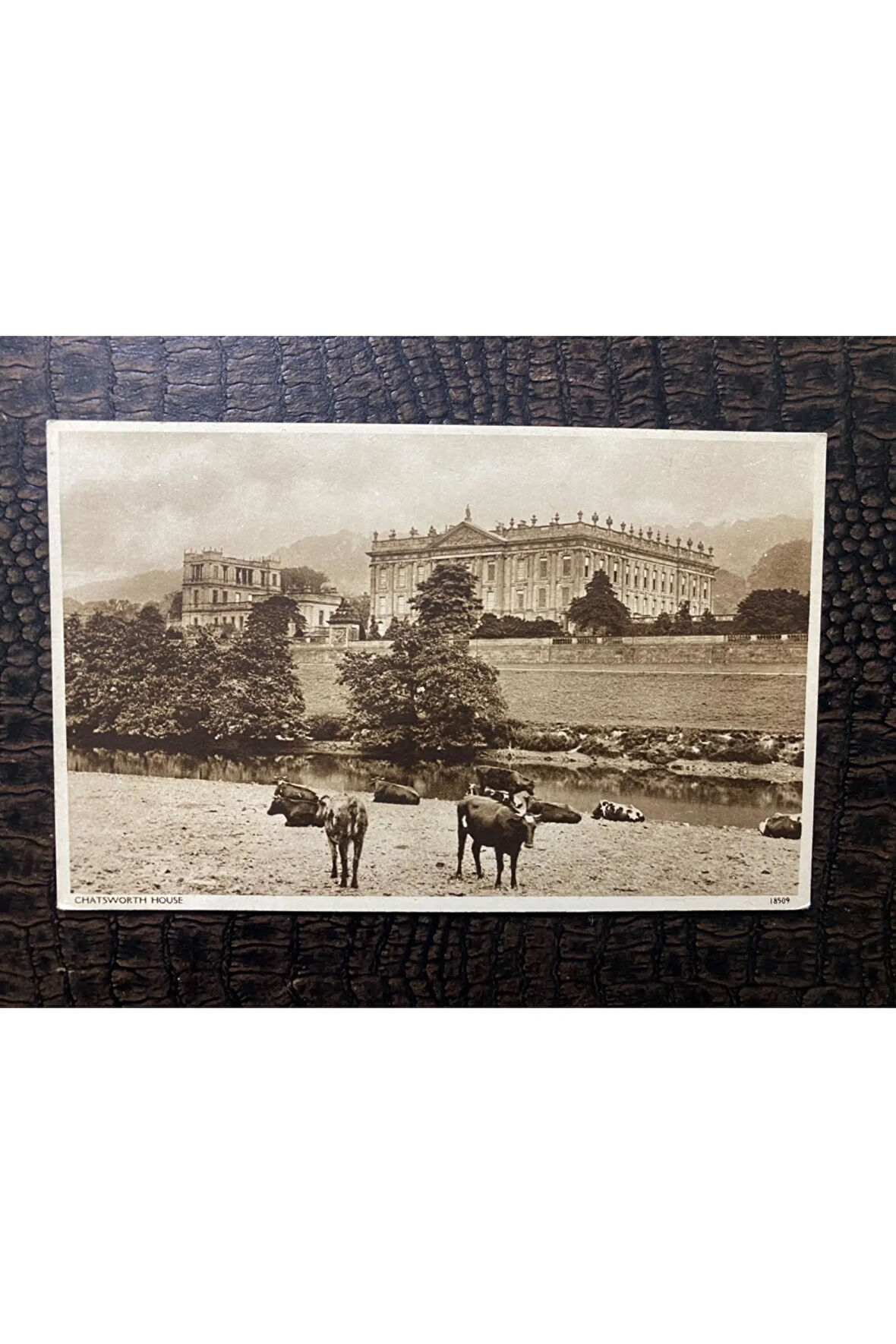 19.-20. Yüzyıl İngiltere CHATSWORTH HOUSE İngiliz KARTPOSTAL TAŞBASKI Great Britain