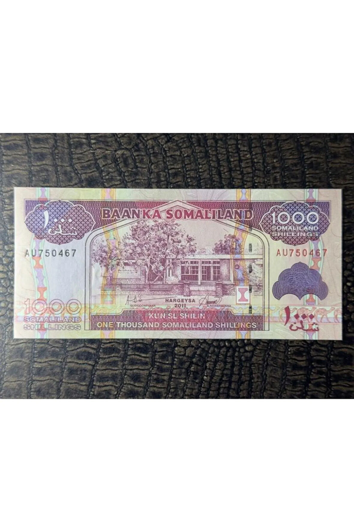 Somaliland 1000 Shillings 2011 yılı ÇİL (10/10)- ÇİL ( UNC)