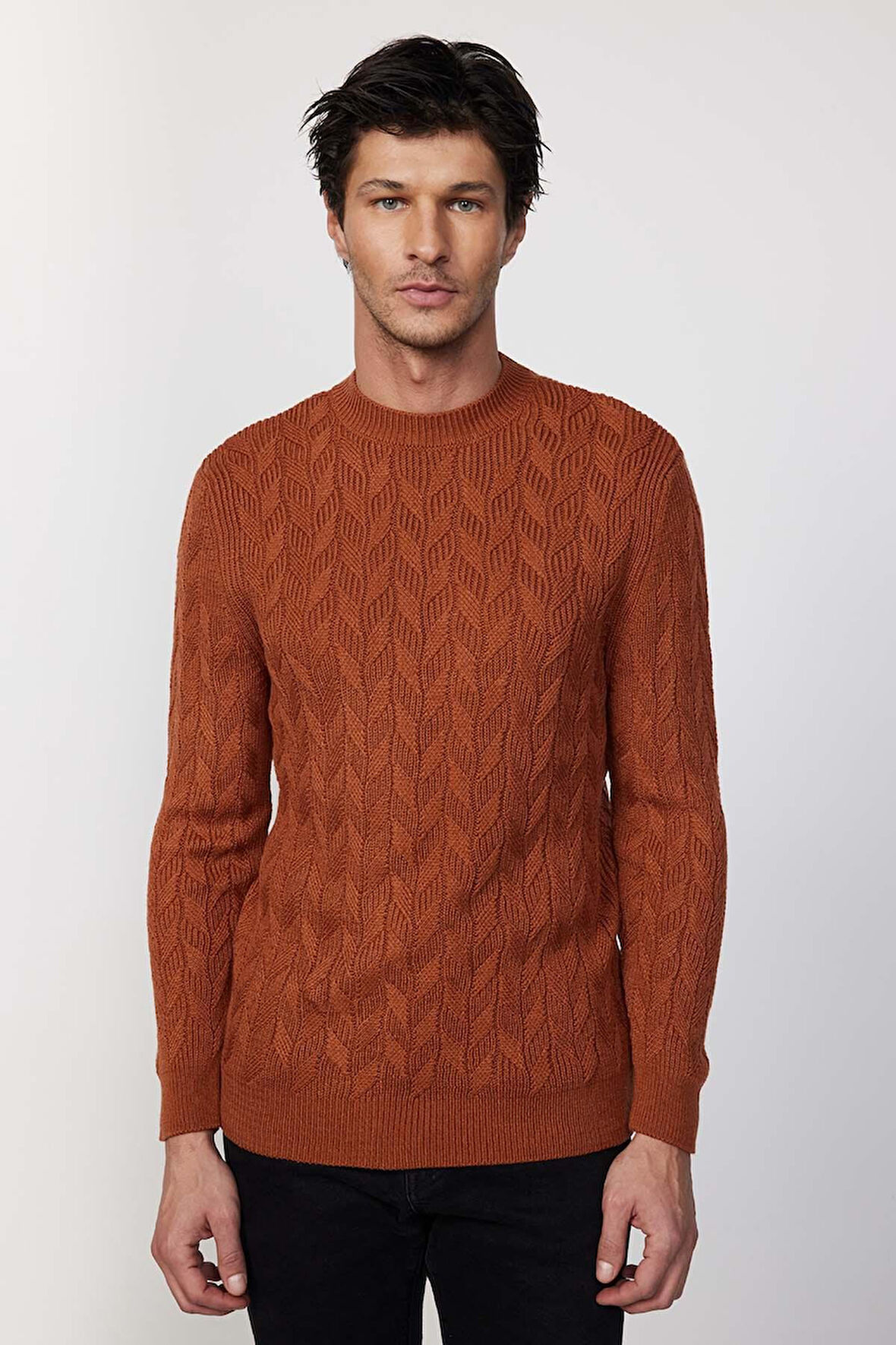 Slim Fit Bisiklet Yaka Desenli Tarçın Erkek Triko Kazak