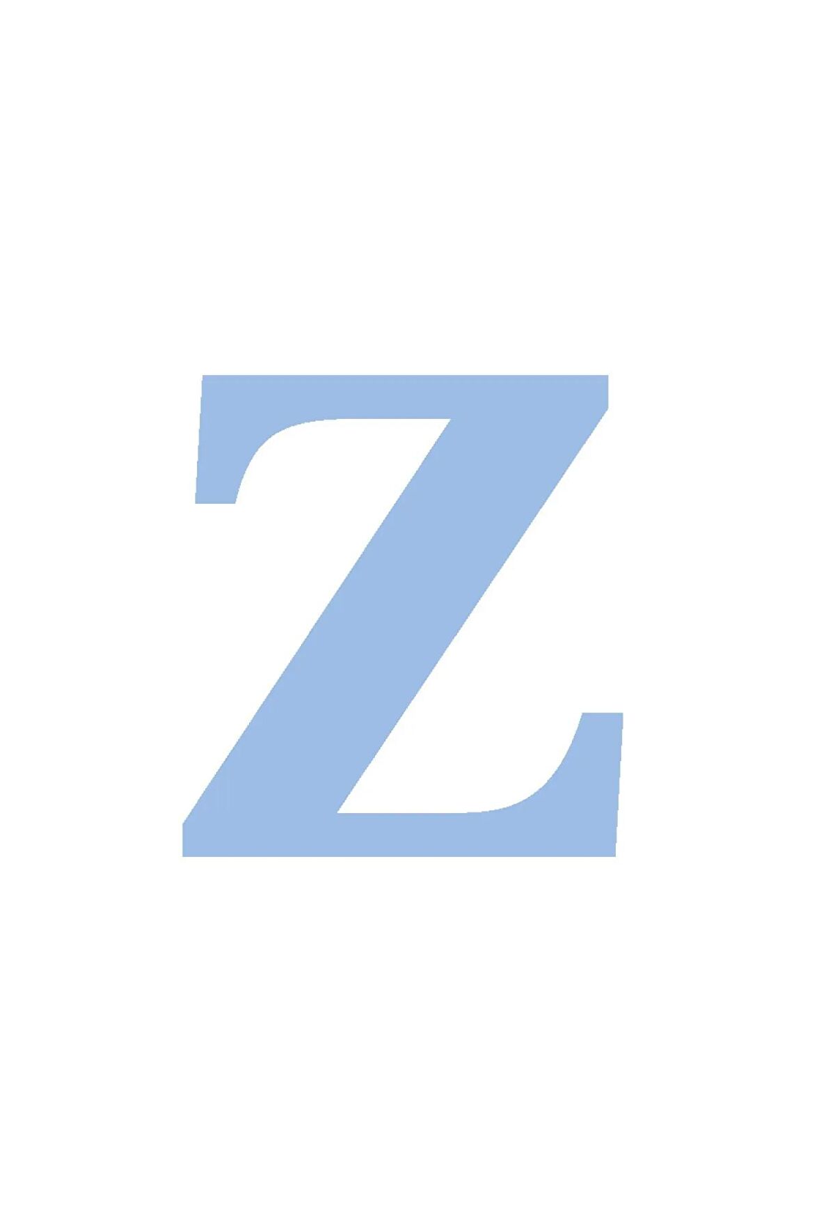Karton Harf Banner Mavi Z