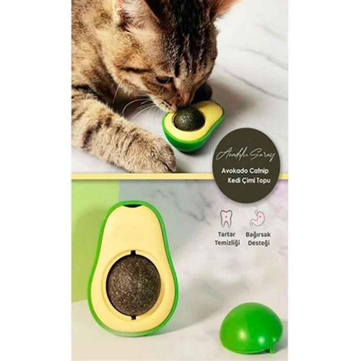 Avokado Catnip Kedi Nanesi Topu