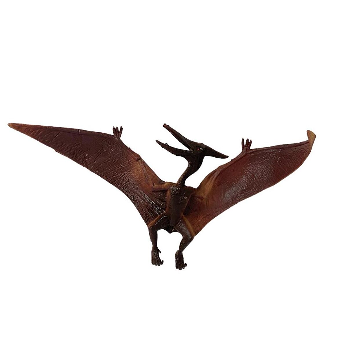 Pterosaur Dinazor 15 Cm - Q603-9