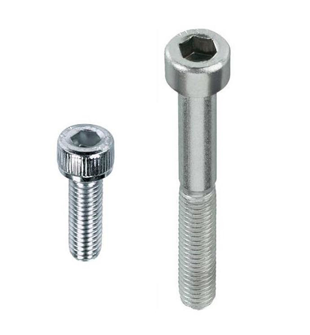 M5X50 DIN912 İmbus Cıvata 8.8 Beyaz 5 Li Paket