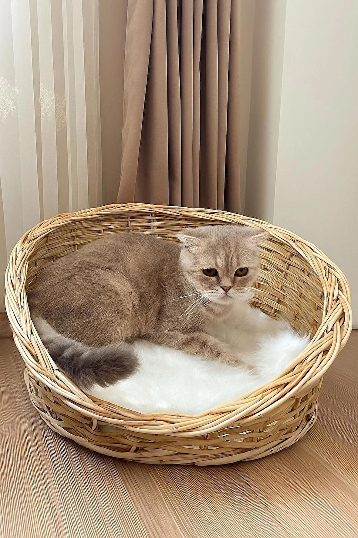 Kedi Köpek Yatağı 