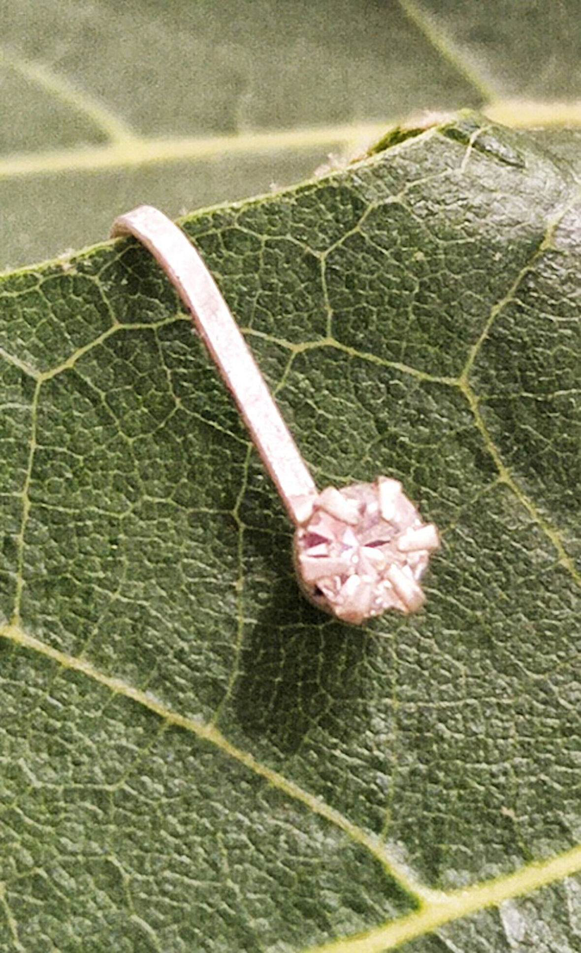 Gümüş Hızma 1. Kalite ve Şık Tasarım