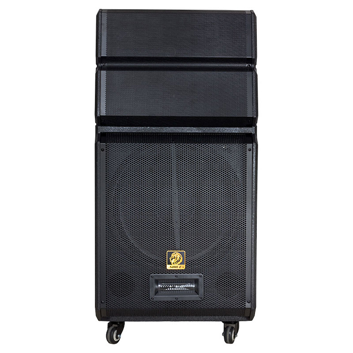 Shile SL-1612B İki El Mikrofonlu Kumandalı Usb+Sd+BT+FM Taşınabilir Hoparlör 