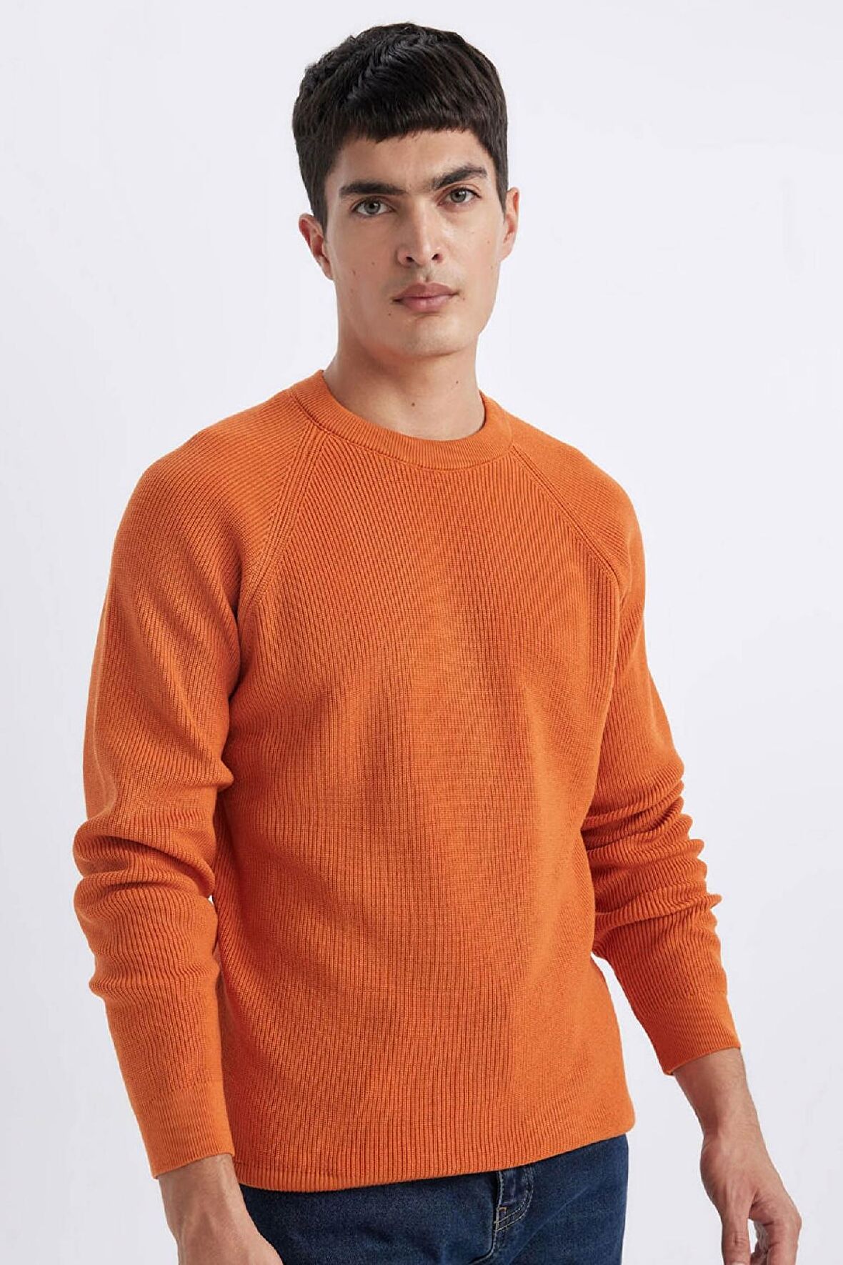 DeFacto Standart Fit Normal Kesim Bisiklet Yaka Basic Düz Triko Kazak A8458AX24SPOG343