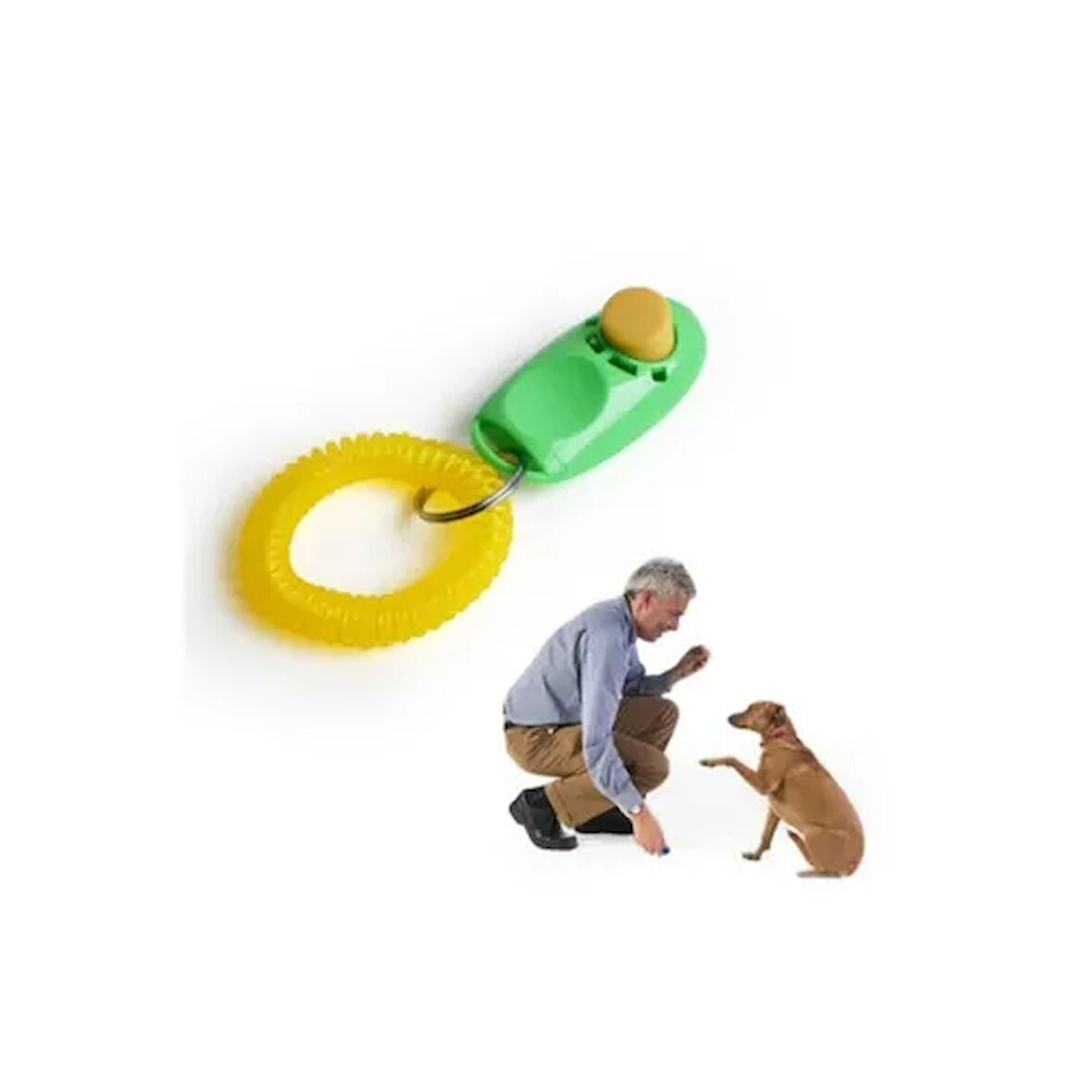 Clicker Köpek Eğitim Aleti TdrTR