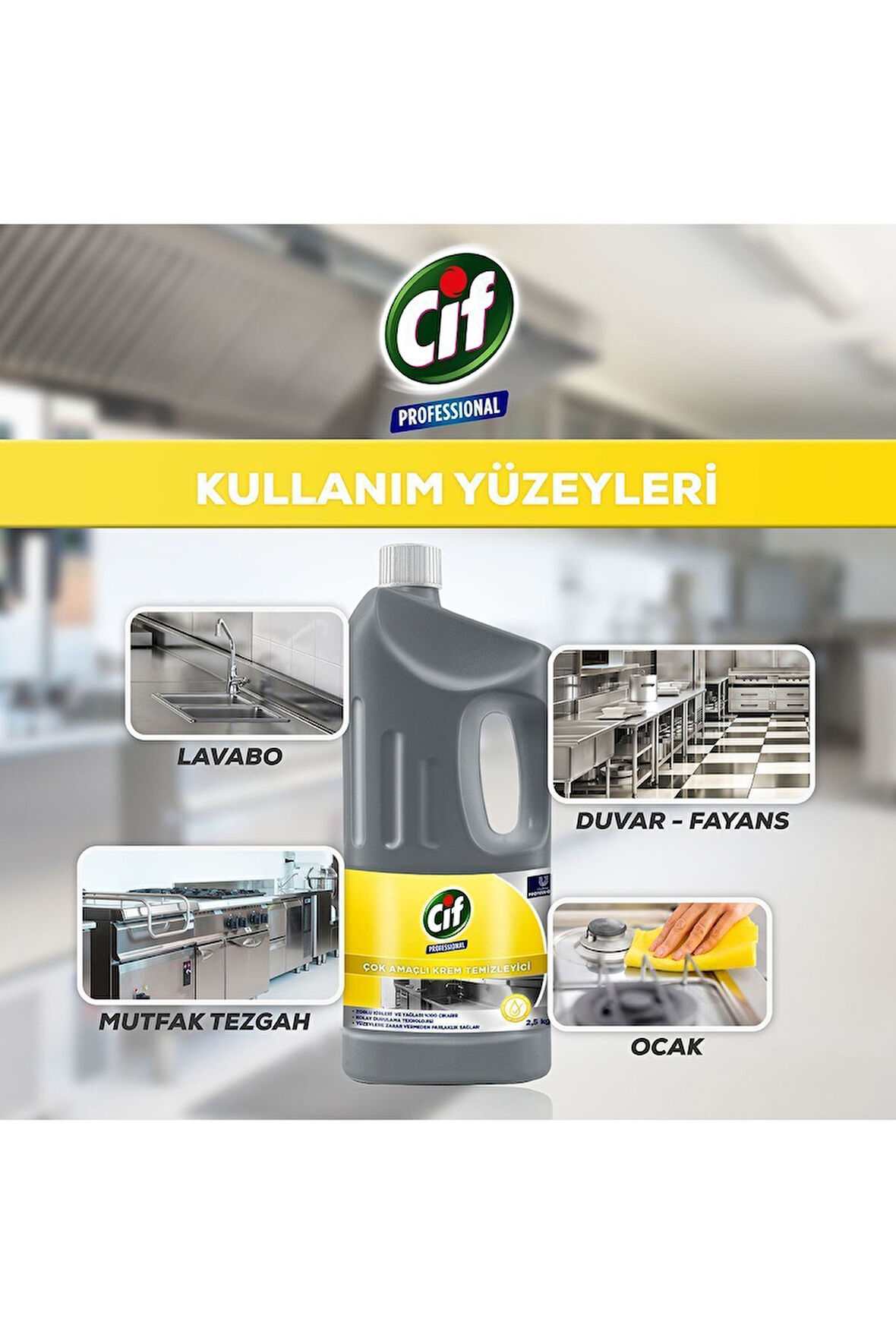 Professional Çok Amaçlı Krem Temizleyici 1,9 Lt 3adet