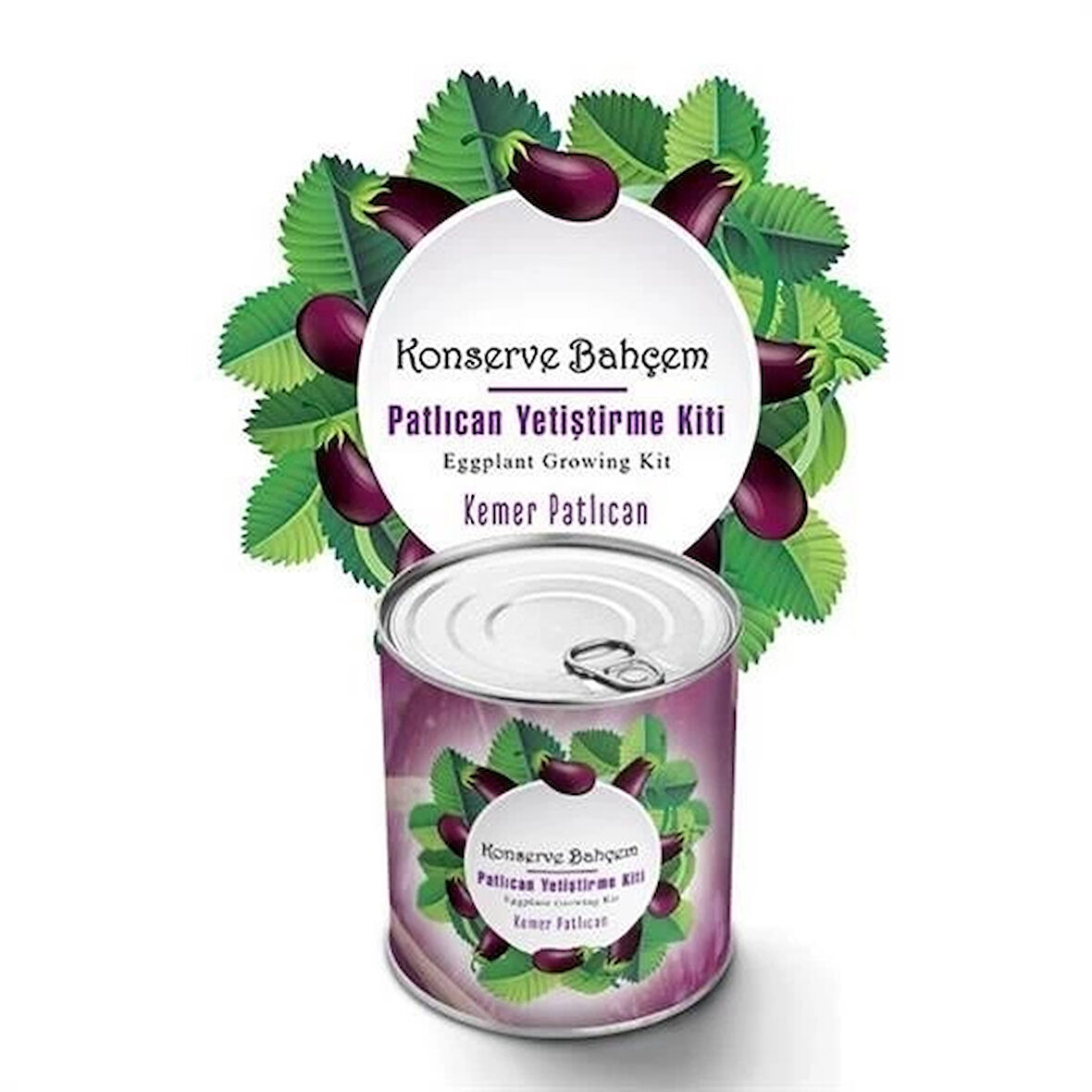 İpek Yıldızı® Konserve Bahçem Evde Konservede Kemer PatlıcanYetiştirme Kiti