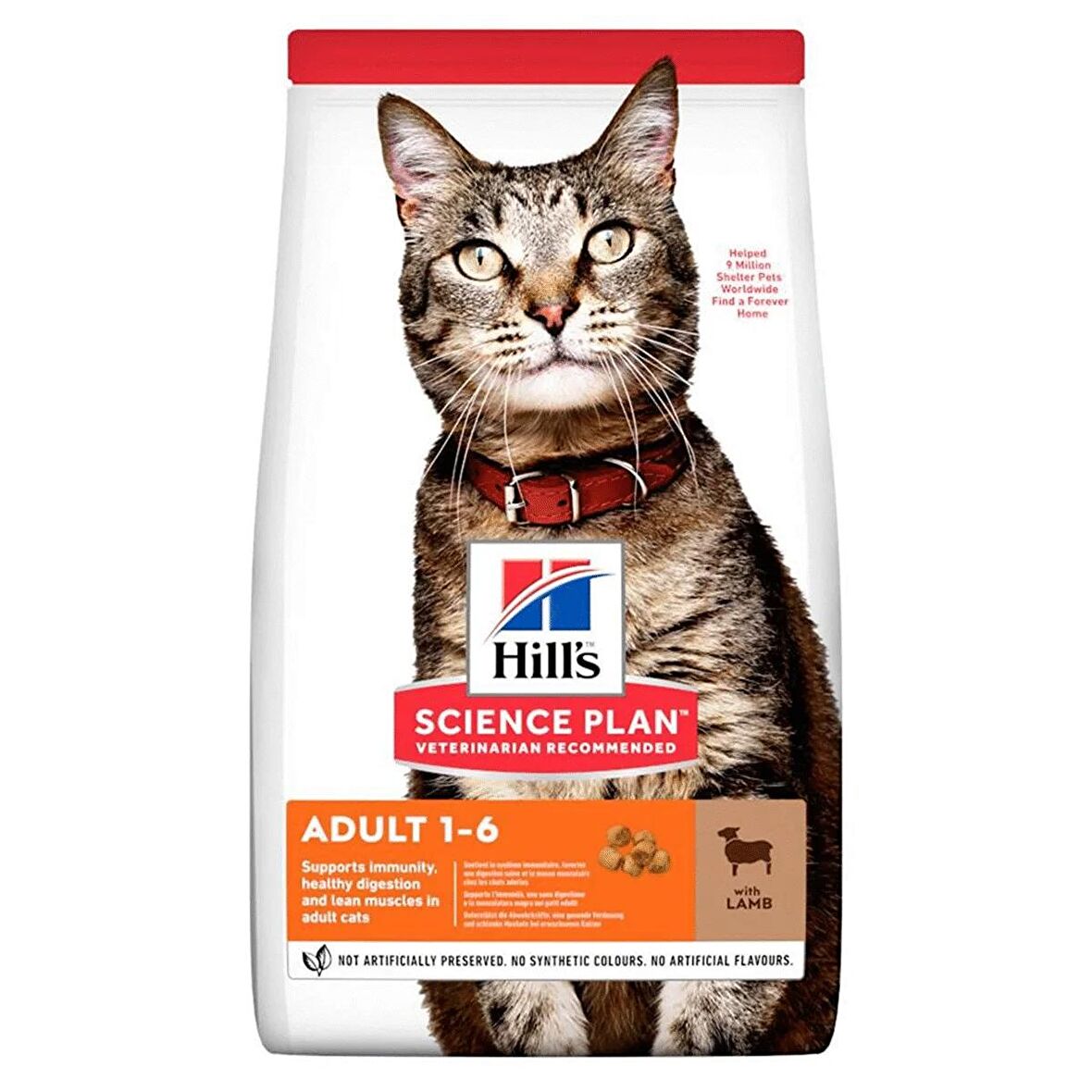 Hills Kuzulu Yetişkin Kedi Maması 3kg Adult Cat Food With Lamb