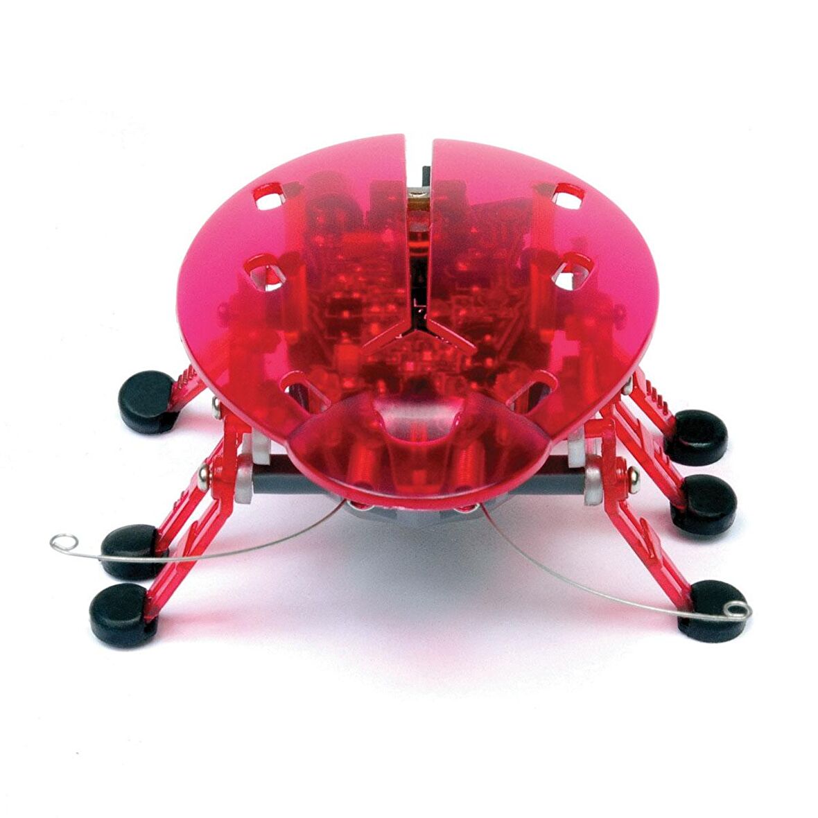 Hexbug Böcek - Pembe