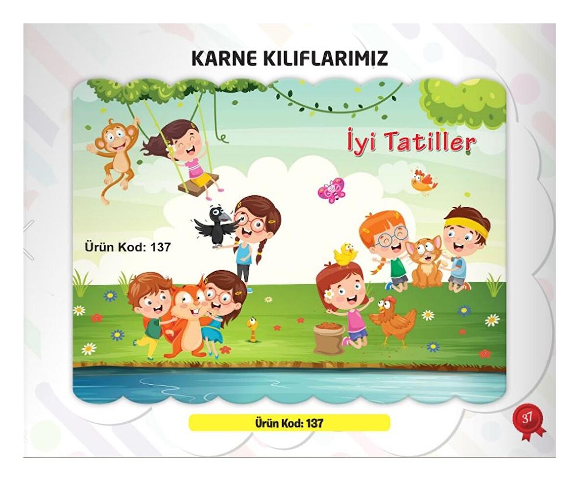 Karne Kabı Kılıfı Ürün Kodu:137 (10 Adet)