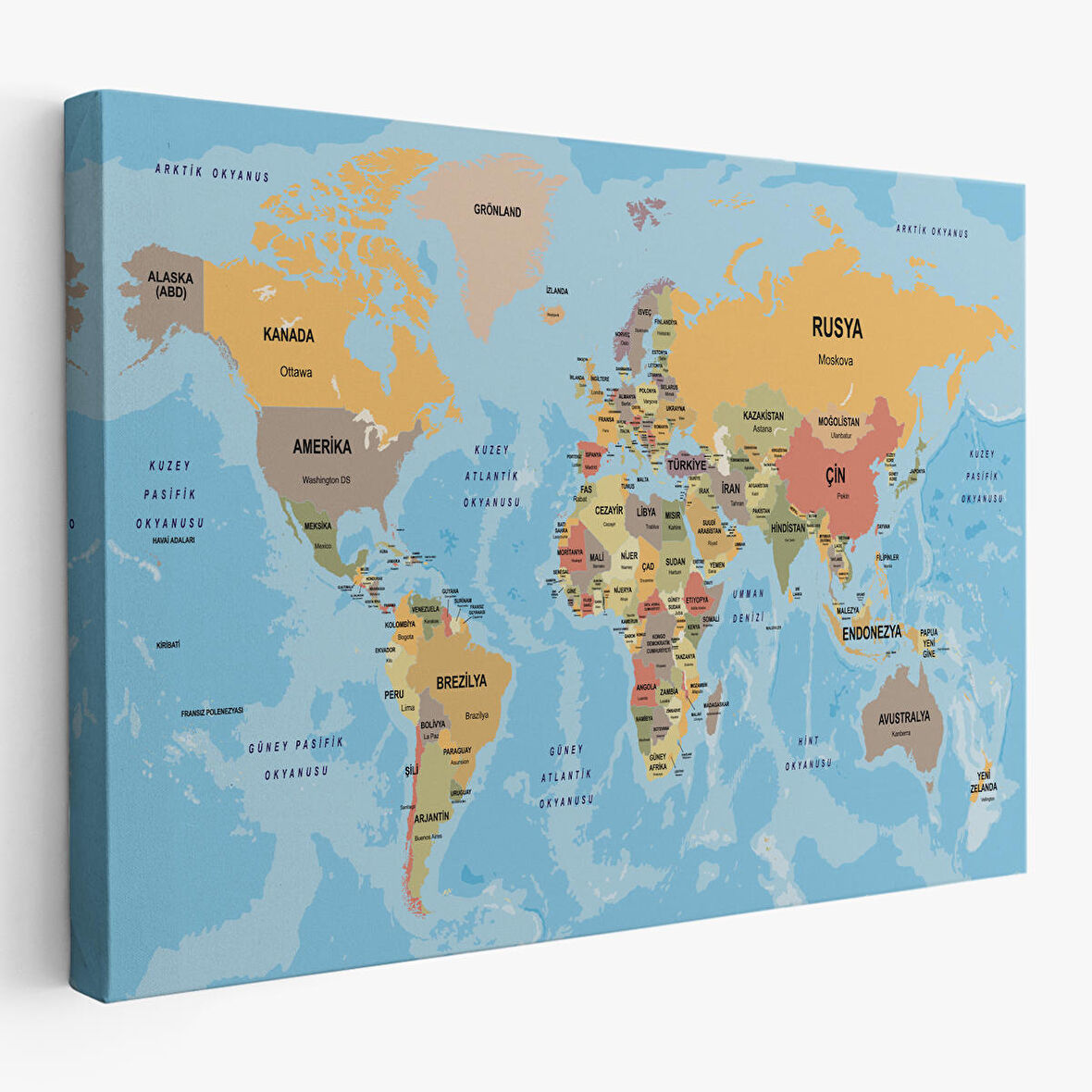 Harita Sepeti Türkçe Dünya Haritası Ülke Başkentli ve Okyanuslu Dekoratif Kanvas Tablo 2228