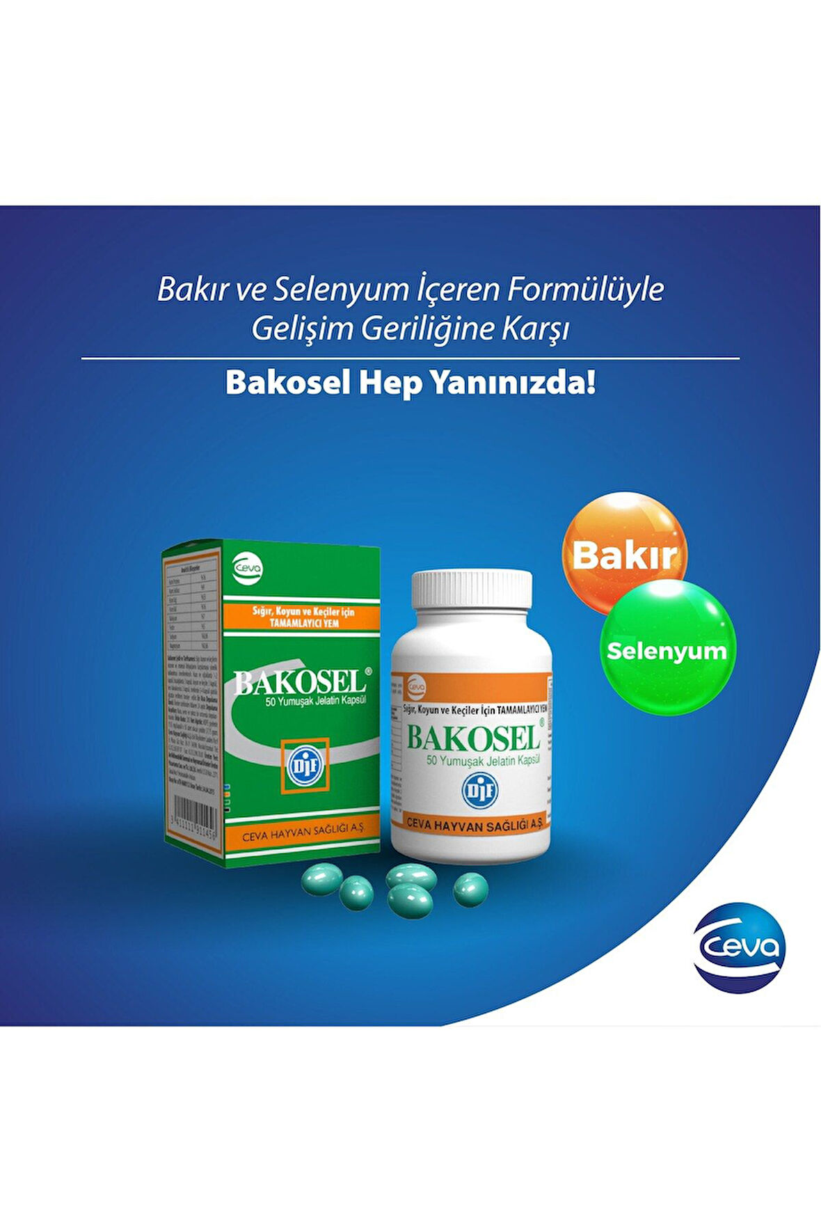 Bakosel Sığır Ve Koyunlar Için Tamamlayıcı Yem 50 Kapsül