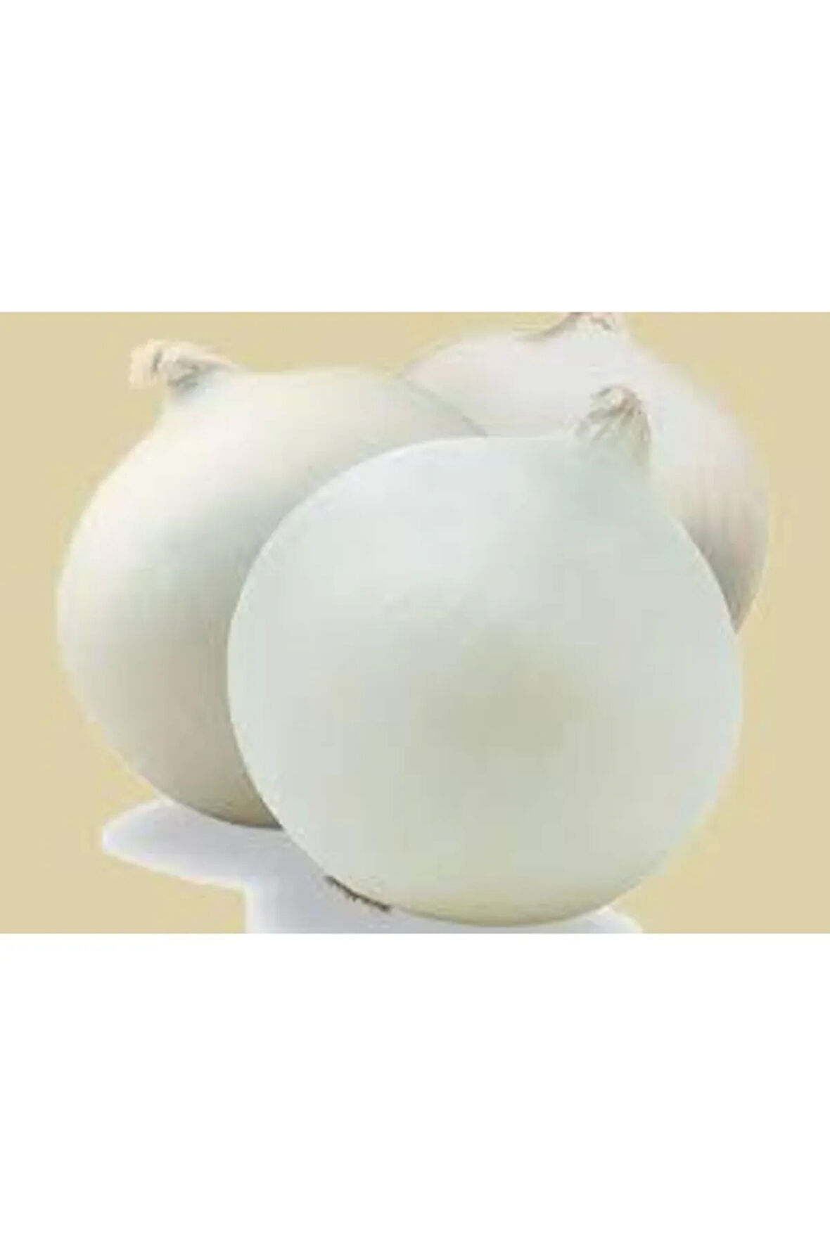 50 Adet Tohum Orjinal Tatlı Beyaz Soğan  Tohumu