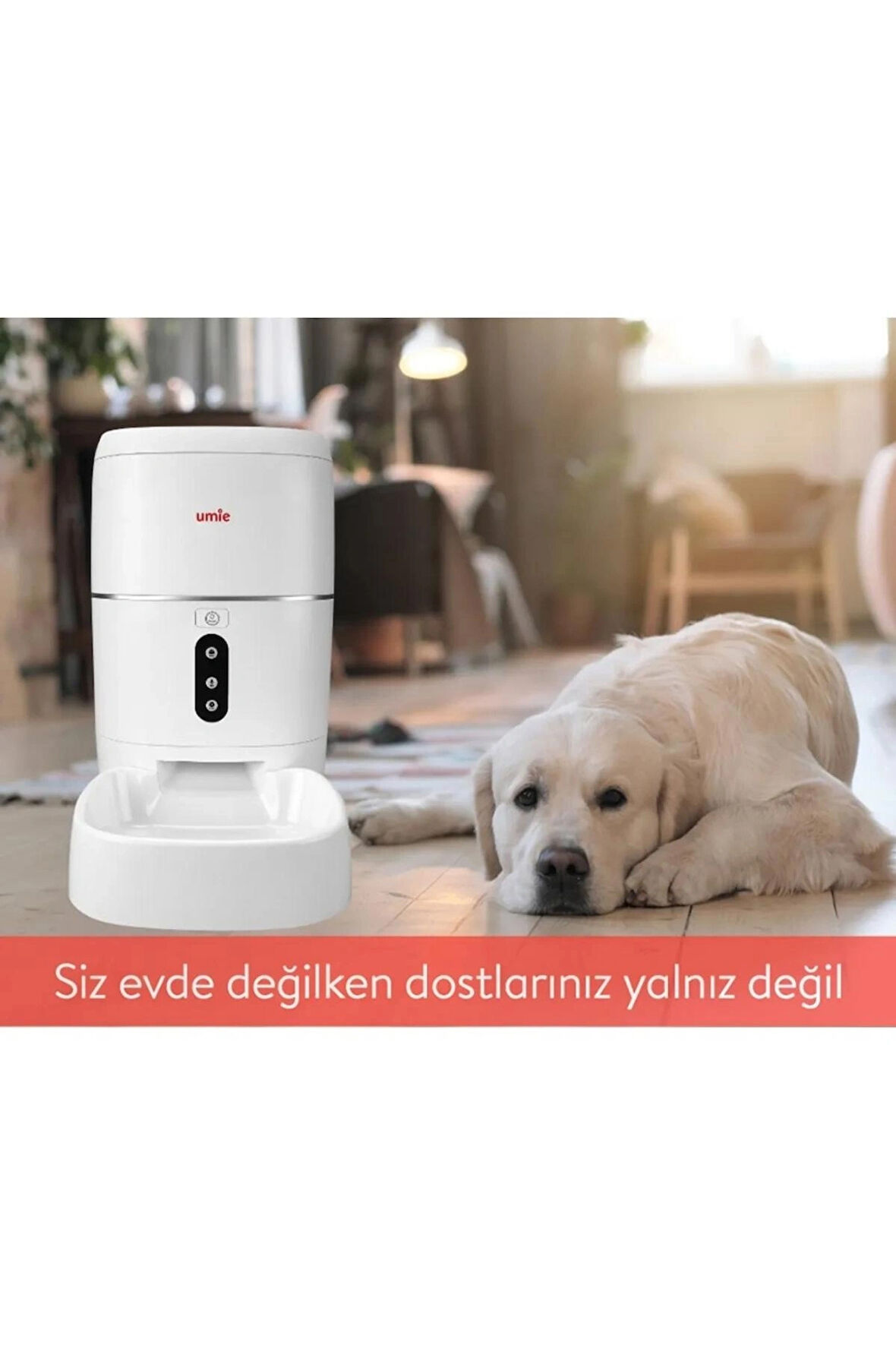 6L Kapasiteli Sesli Mesaj Otomatik Yem Kabı Wifi+BT Tuya Destekli Kedi Köpek Besleyici