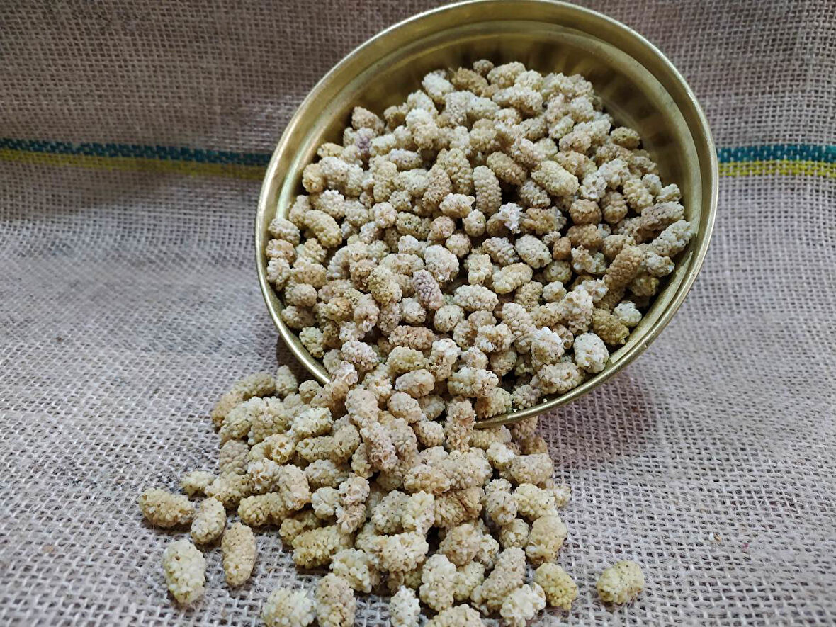 GURMEKENT ULUKALE DUT KURUSU 1.SINIF 1000GR