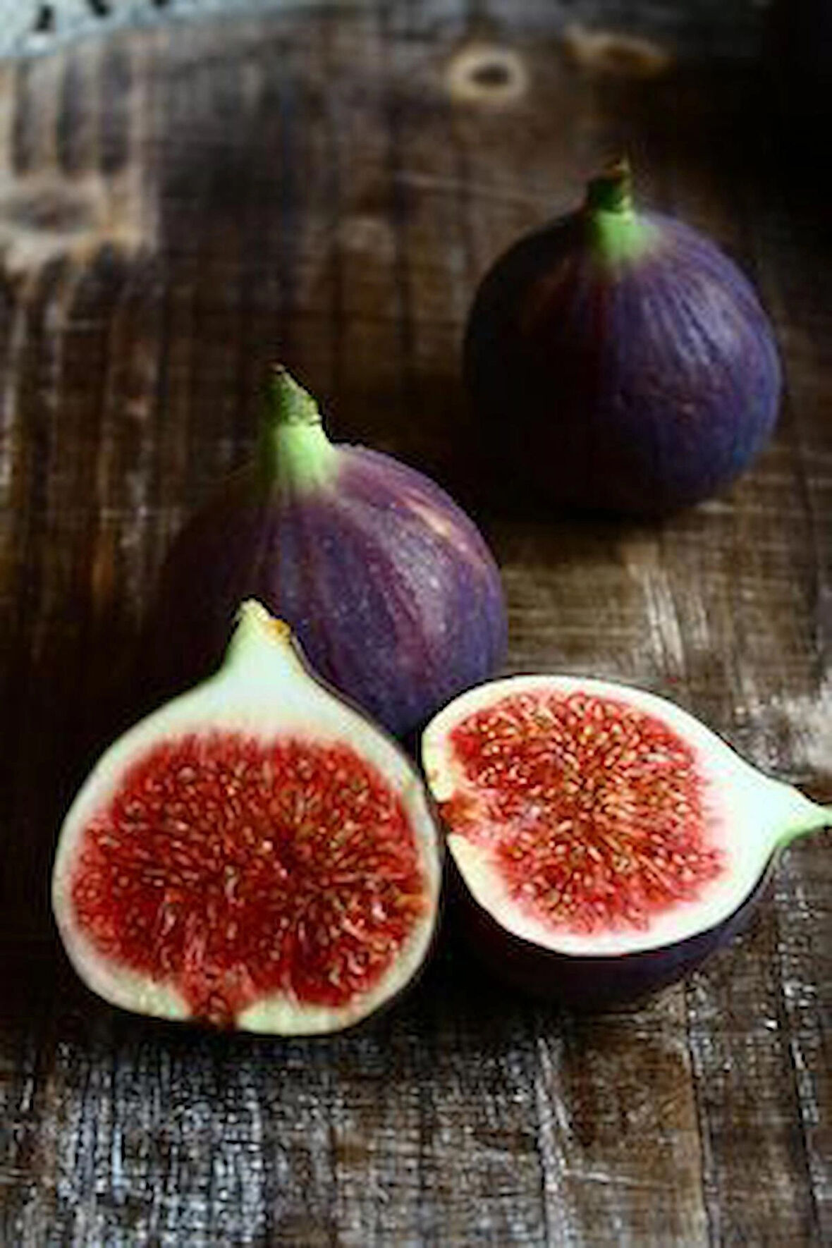 Saksılı Mor Renkli İncir Fidanı (Ficus carica) - 1-2 Yaşında, Kolay Yetişen