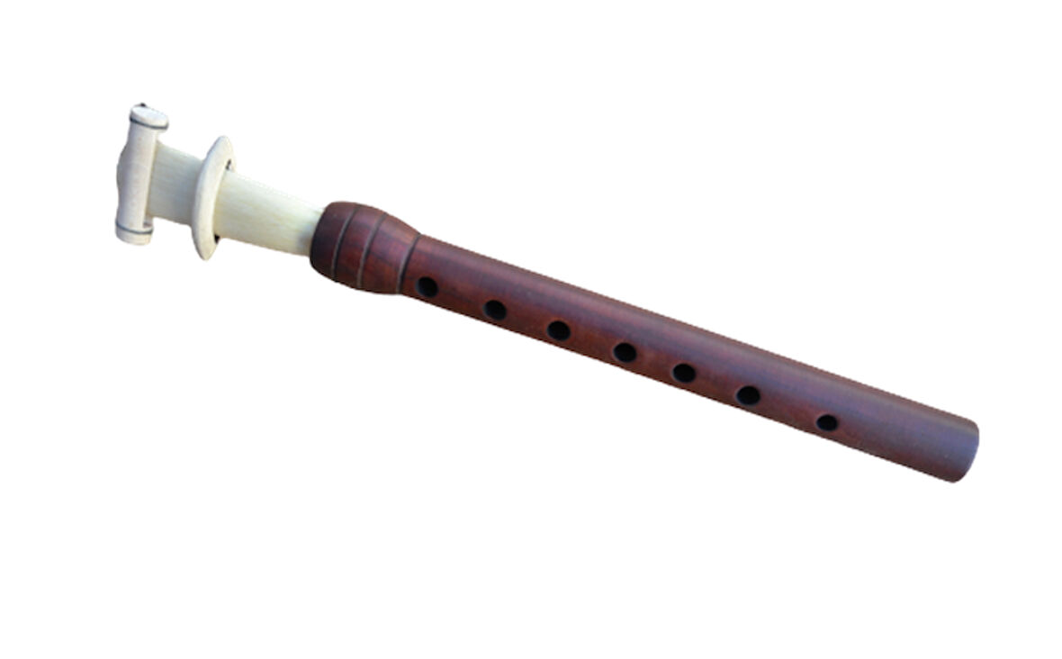 ERİK MEY KÜÇÜK BOY 22.5 CM - DO + NORMAL KAMIŞ HEDİYE
