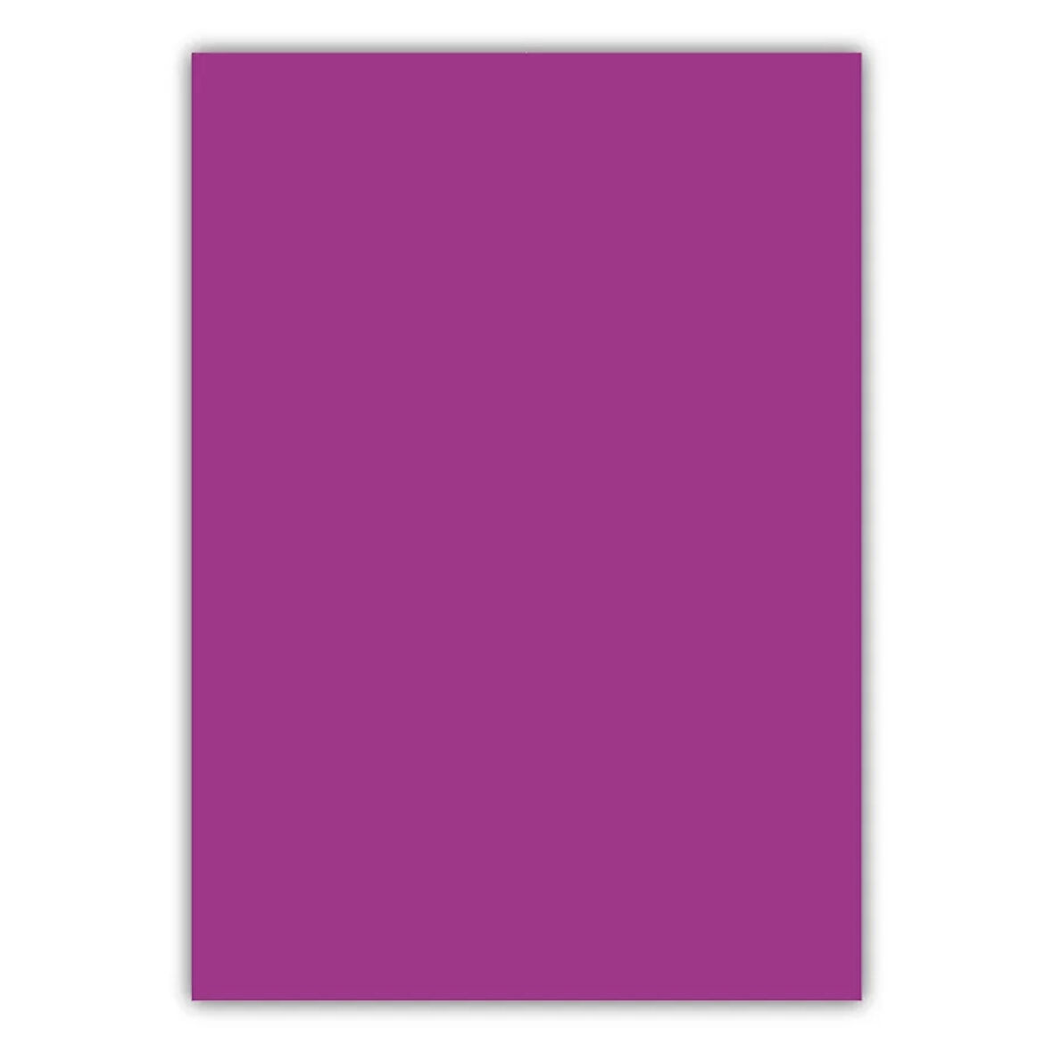 Bigpoint A4 Cilt Kapağı 150 Mikron Opak Mor 100'lü Paket