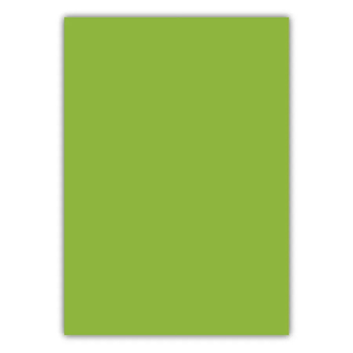 Bigpoint A4 Cilt Kapağı 150 Mikron Opak Açık Yeşil 100'lü Paket