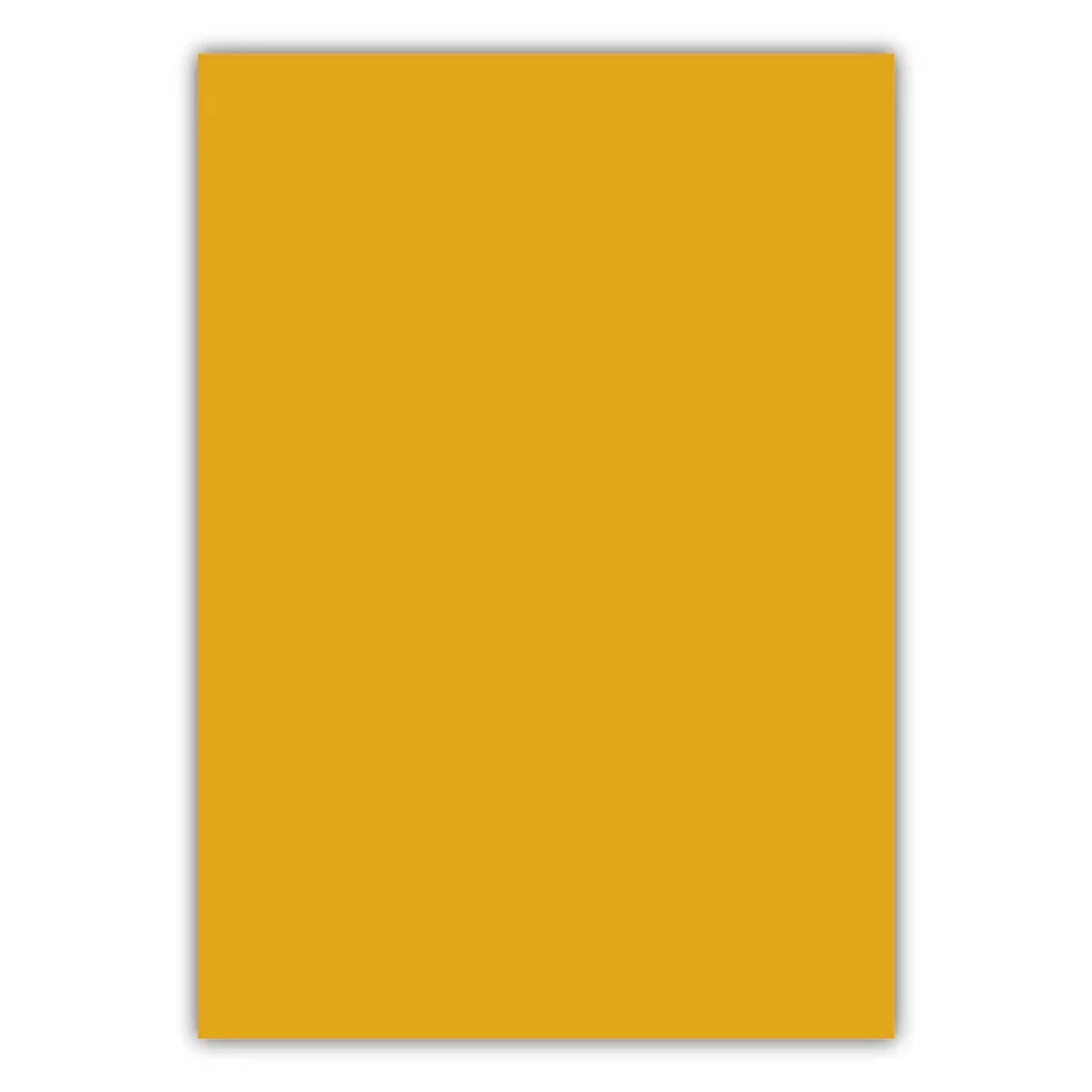 Bigpoint A4 Cilt Kapağı 150 Mikron Opak Turuncu 100'lü Paket