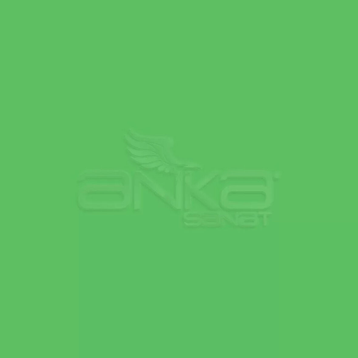 Staedtler Triplus Color Fineliner İnce Uçlu Keçeli Kalem 501 Neon Green 0.3mm