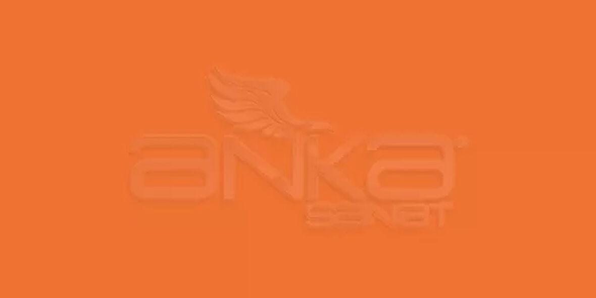 Zig Art&Graphic Twin RB+F Çift Uçlu Çizim Kalemi 004 Orange