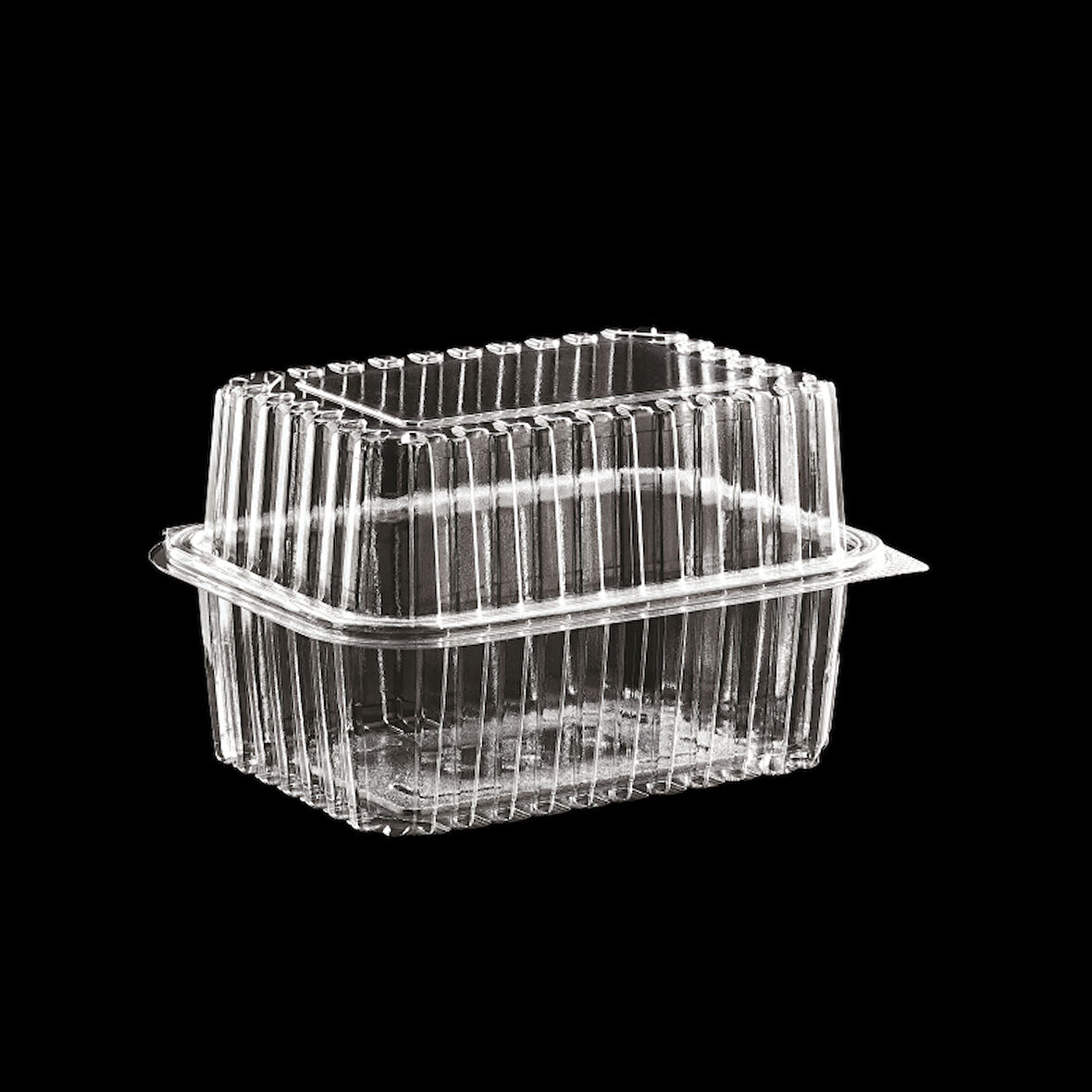 Plastik Sızdırmaz Peynir Kabı 100' lü.