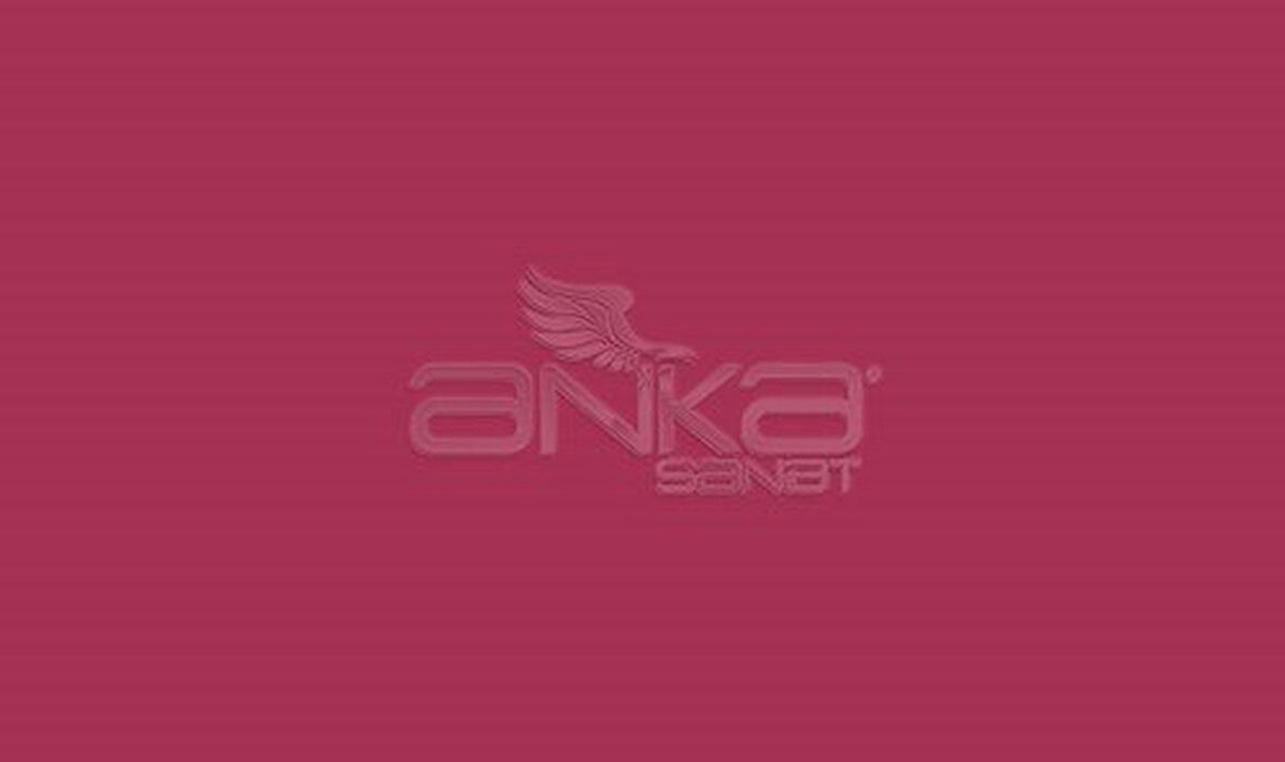 Faber Castell Art&Graphic Polychromos Artist Kuru Boya Kalemi 225 Dark Red