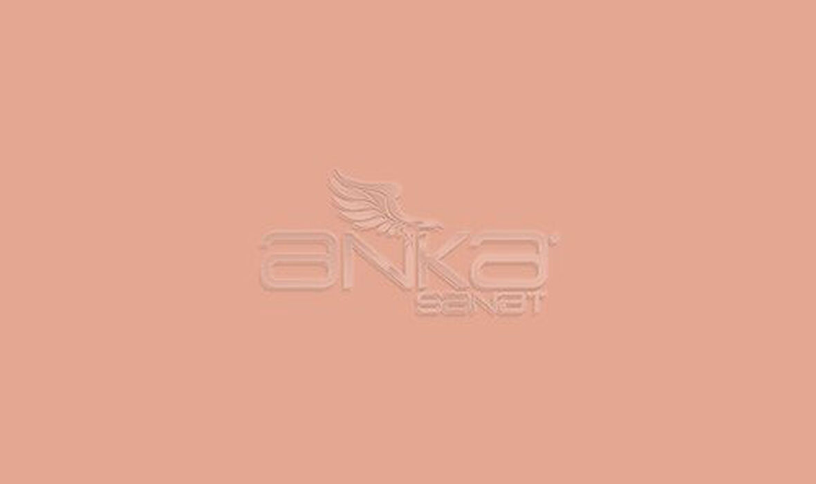 Faber Castell Art&Graphic Polychromos Artist Kuru Boya Kalemi 189 Cinnamon