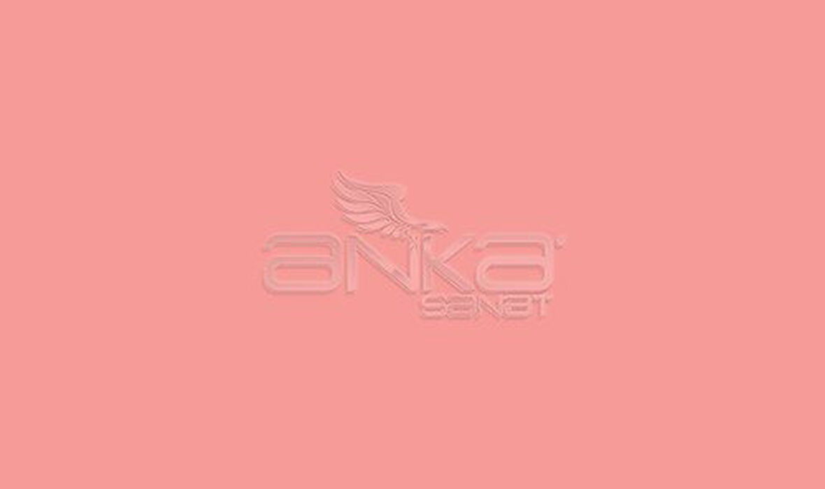 Faber Castell Art&Graphic Polychromos Artist Kuru Boya Kalemi 131 Medium Flesh