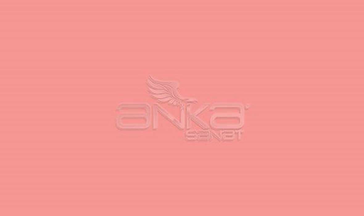 Faber Castell Art&Graphic Polychromos Artist Kuru Boya Kalemi 130 Dark Flesh