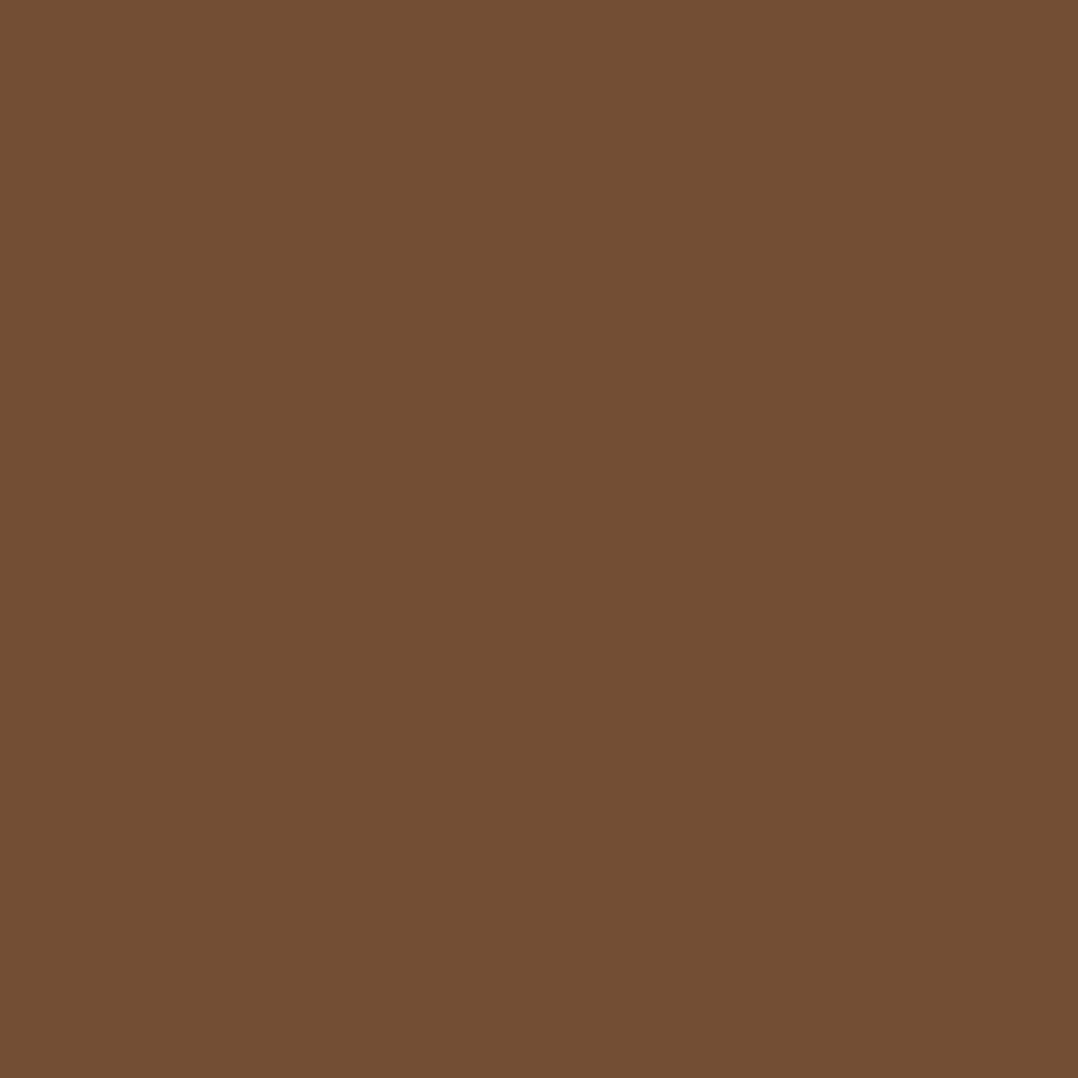 Touch Twin Brush Marker BR102 Raw Umber