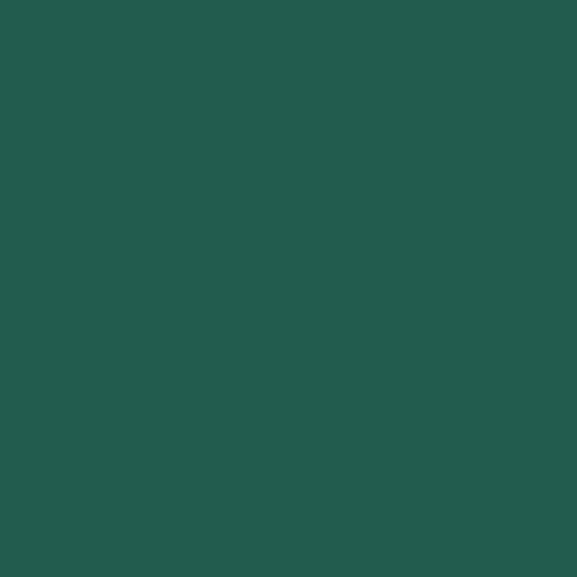 Touch Twin Brush Marker BG51 Dark Green