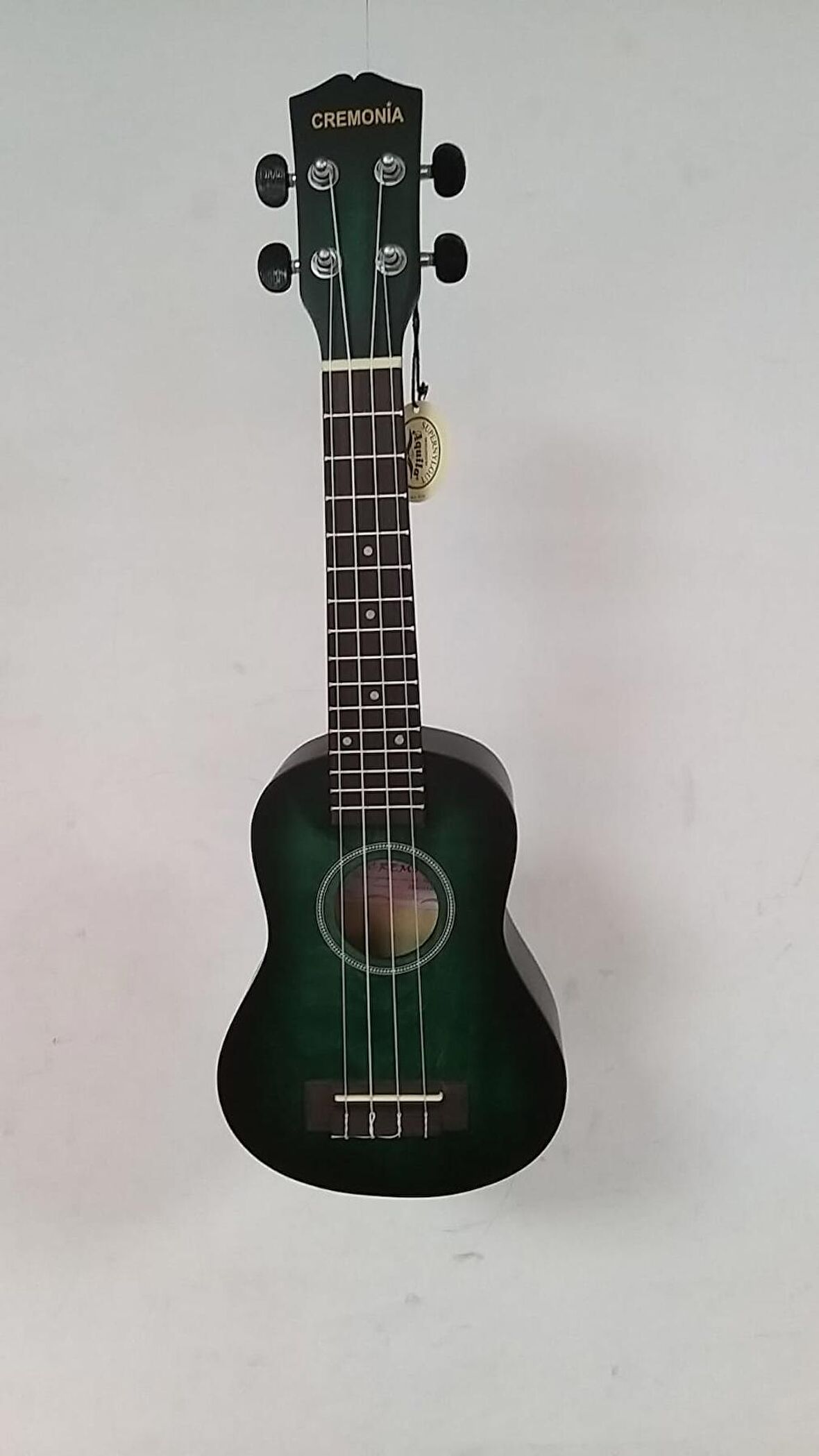 UKULELE 21" MAT MAVİ