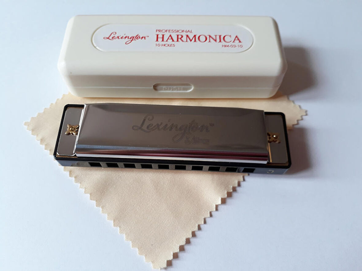 MIZIKA 10 DELİK, MODEL: PROFESSIONAL HARMONICA