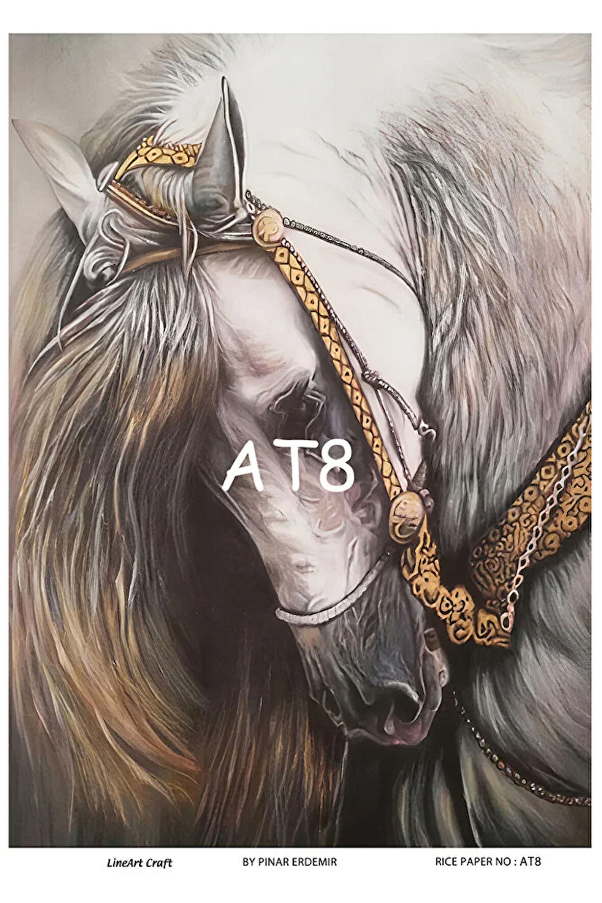 At Serisi AT8 Pirinç Dekopaj 30*42 cm