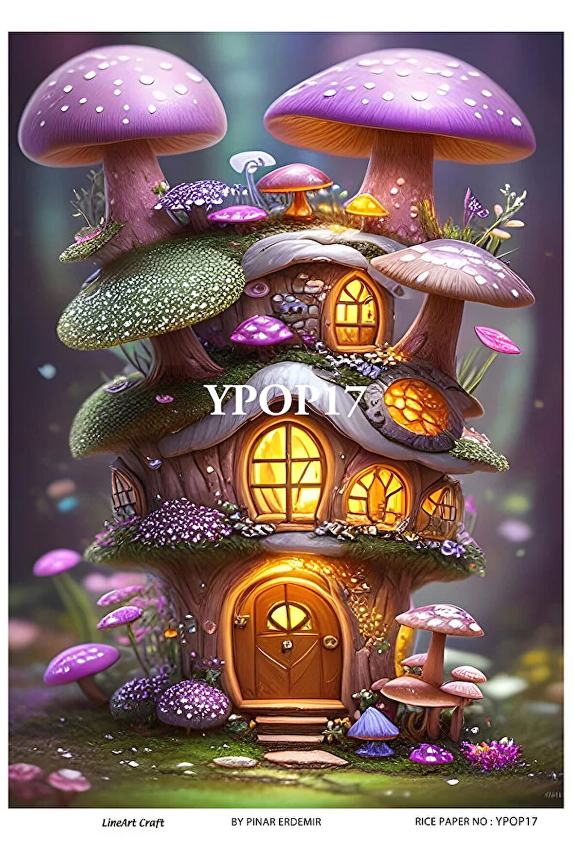 Gizemli Orman Serisi YPOP17