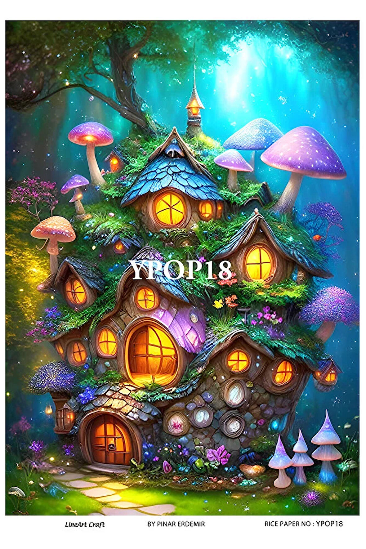 Gizemli Orman Serisi YPOP18