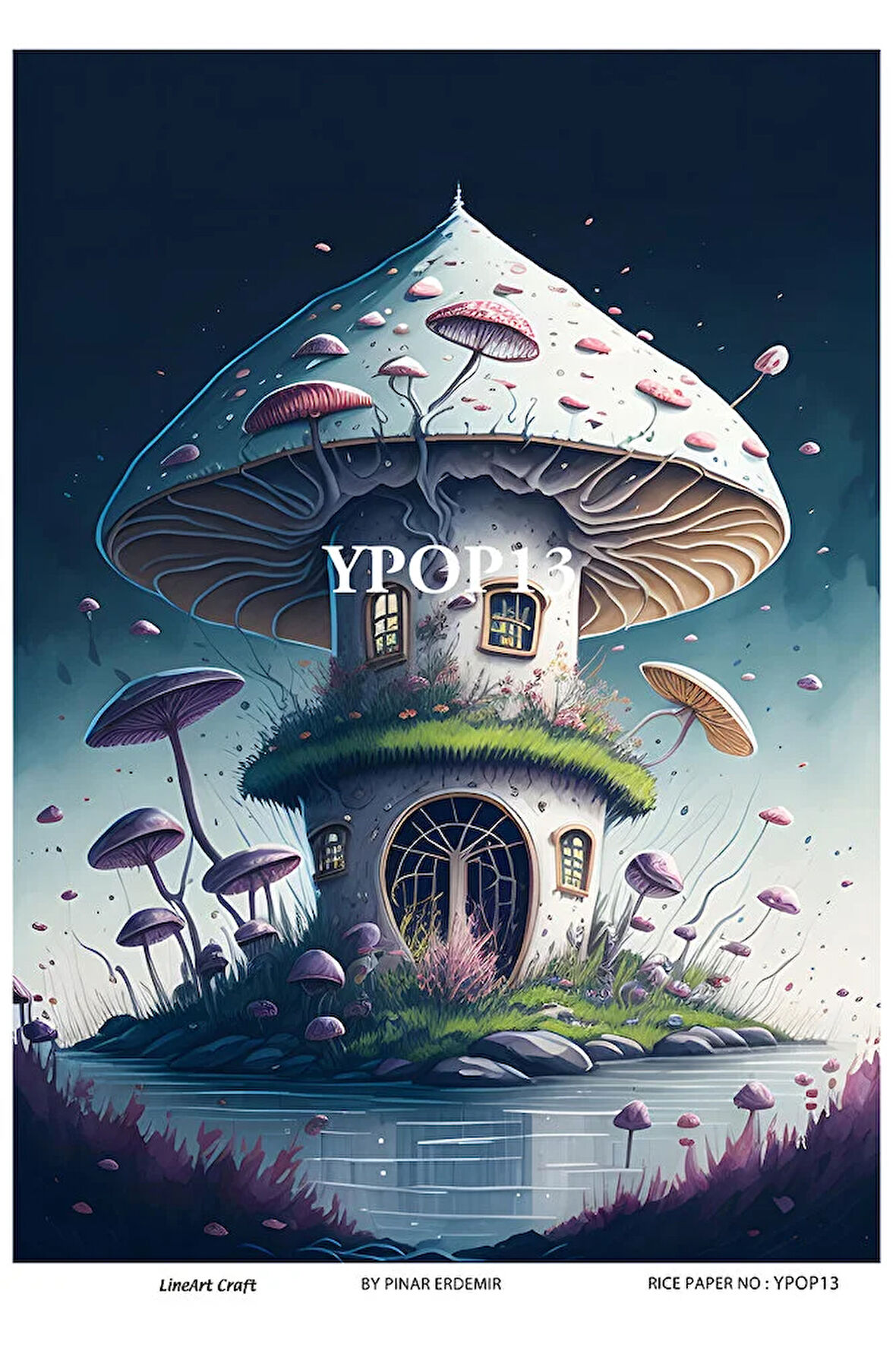 Gizemli Orman Serisi YPOP13