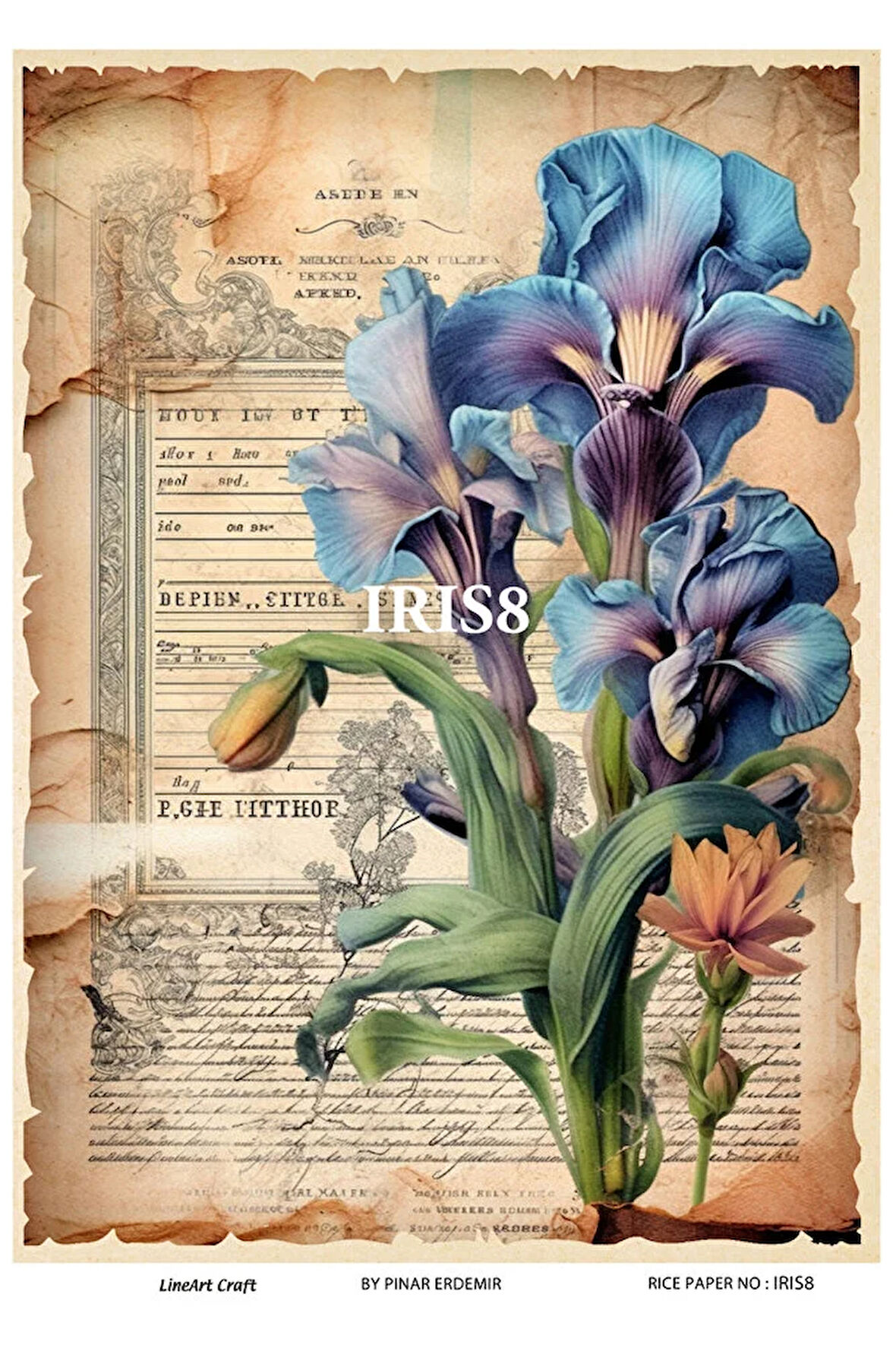IRIS Serisi IRIS8 İris, Zambak, Çiçek Desenli 30*42 cm Pirinç Dekopaj