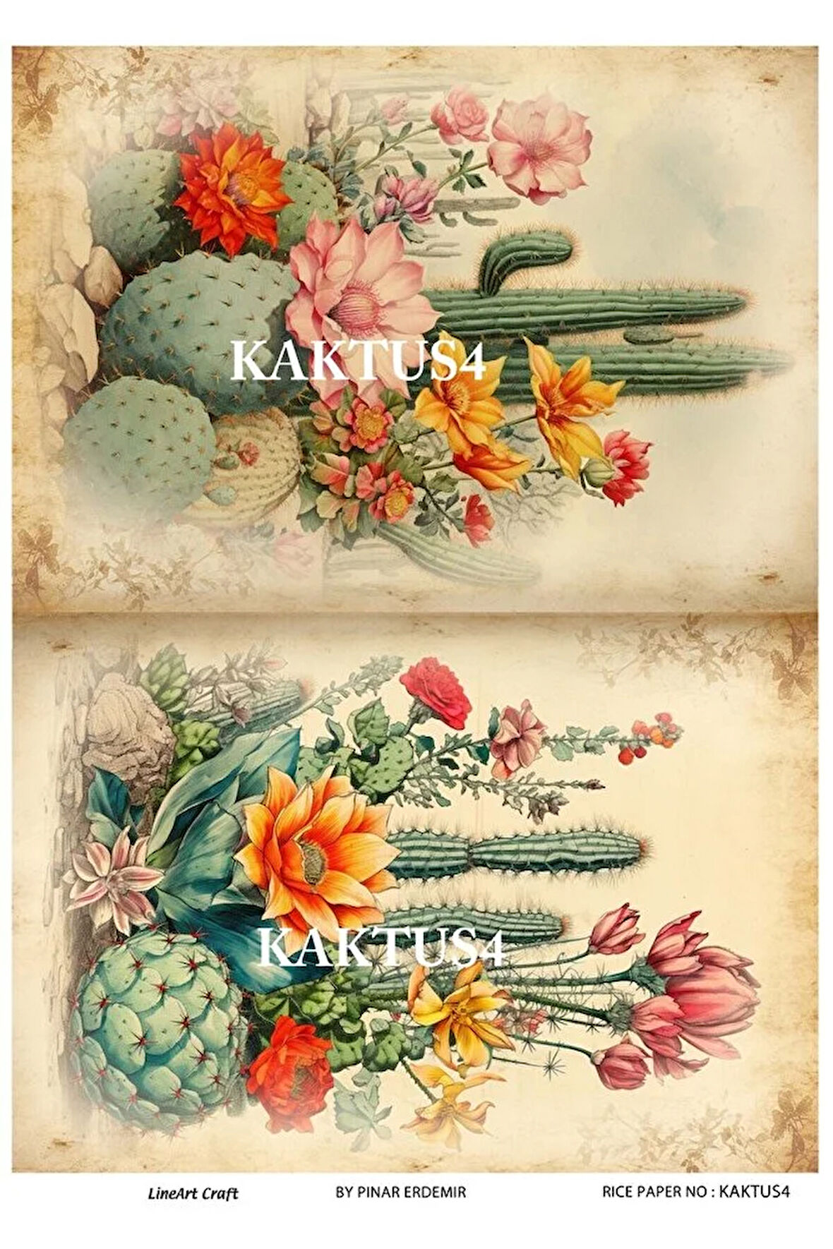 Kaktüs Serisi KKTS4 Yeşil, Kaktüs Desenli 30*42 cm Pirinç Dekopaj