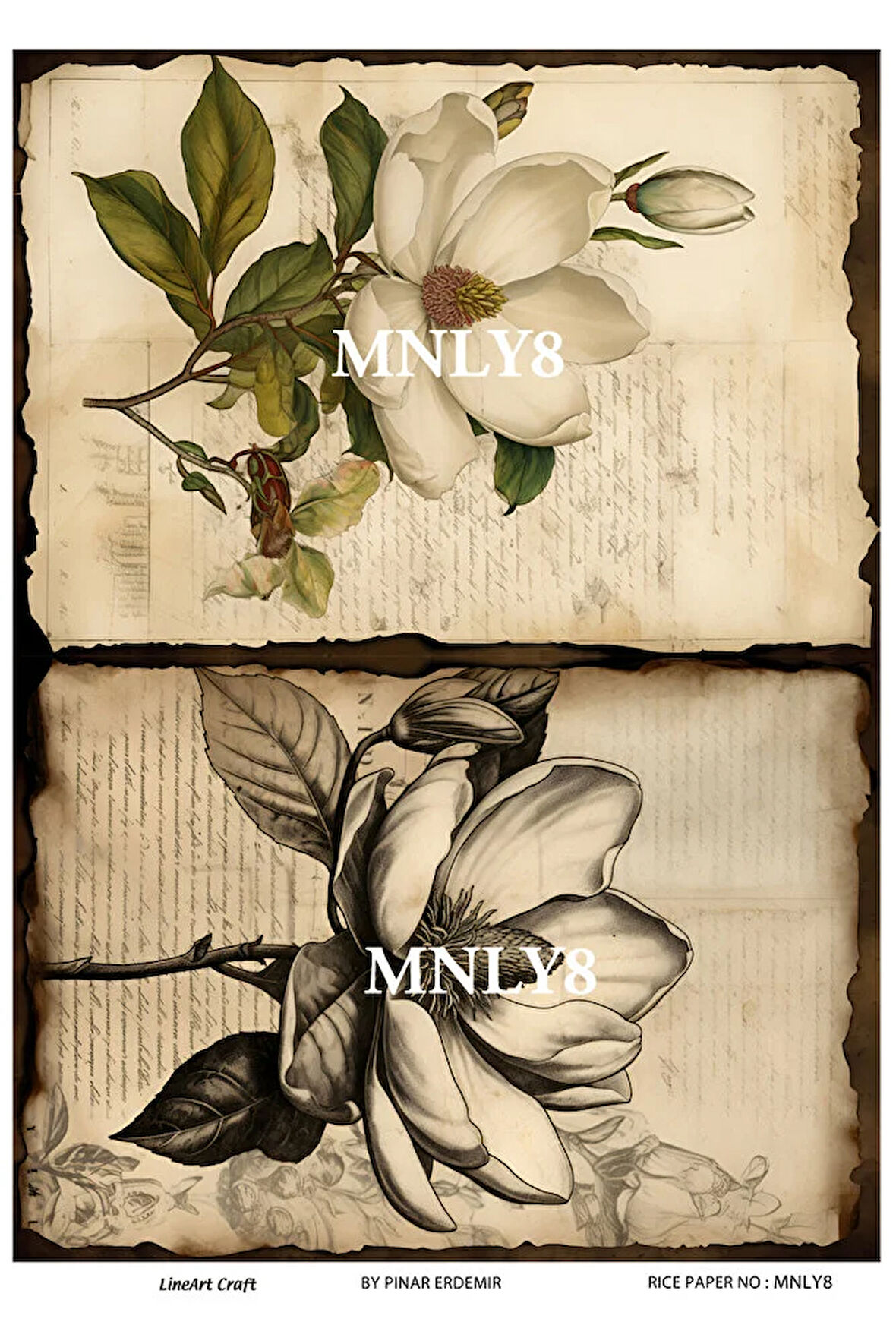 Manolya Serisi MNLY8 Manolya, Çiçek Desenli 30*42 cm Pirinç Dekopaj