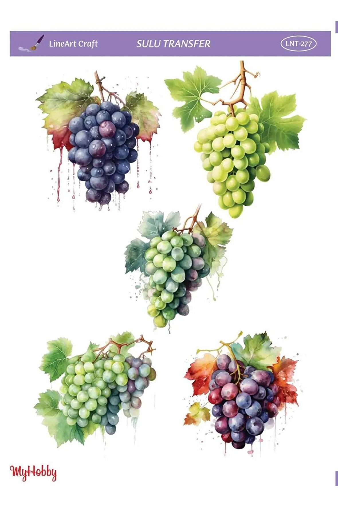 Üzüm Desenli Sulu Transfer LNT-277 25x35