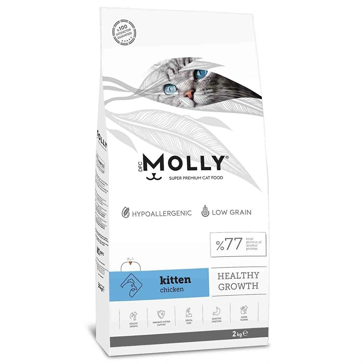 Molly Kitten Kedi Healthy Growth Maması 2 kg