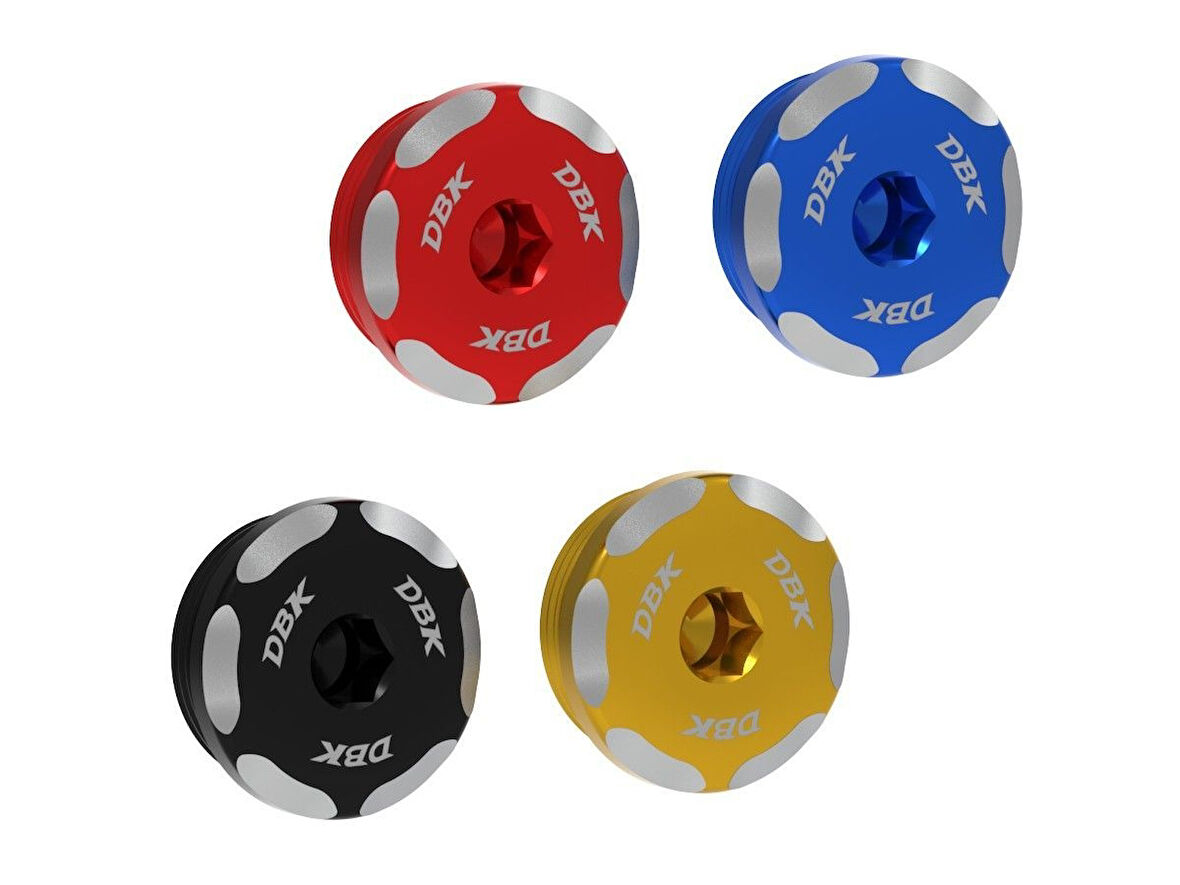 Ducabike Faz Muayene Kapağı - Mavi – BMW S 1000 R / RR / XR 2018–2023 Uyumu