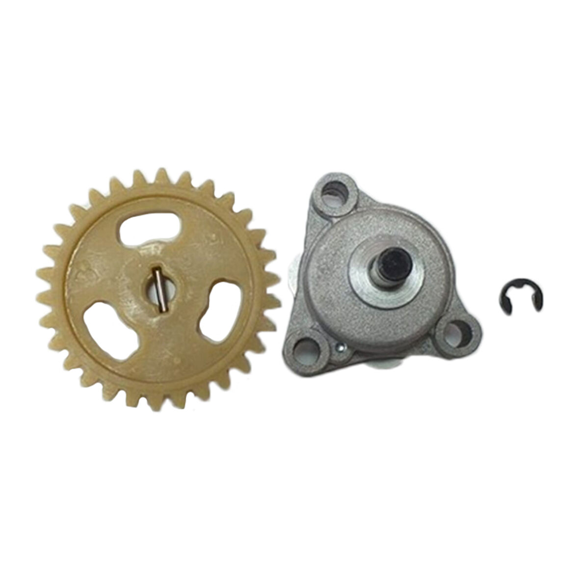 Motobir Yağ Pompası Rks Titanic 150